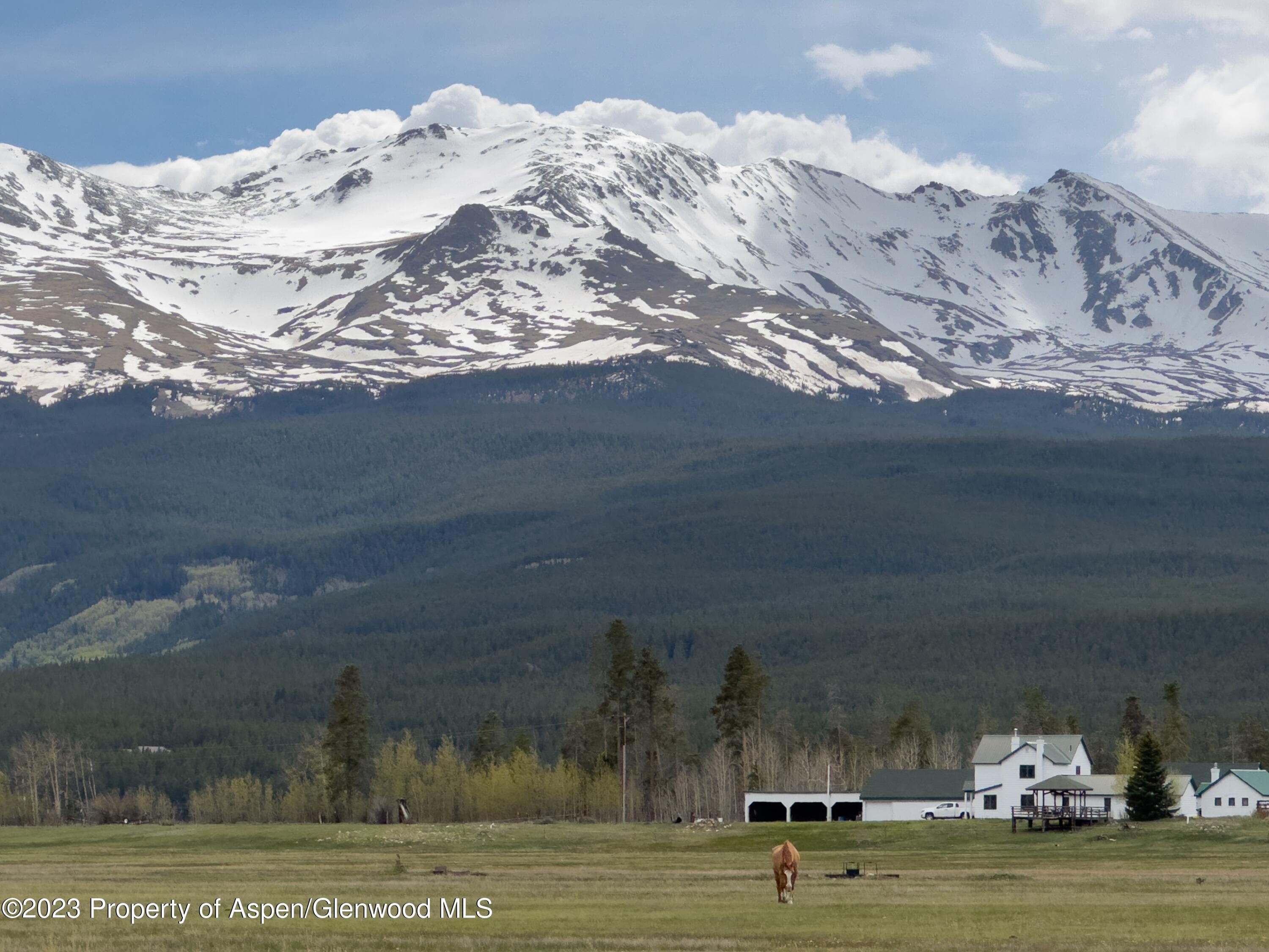 875 Hwy 300, Leadville, CO 80461 - Photo 27