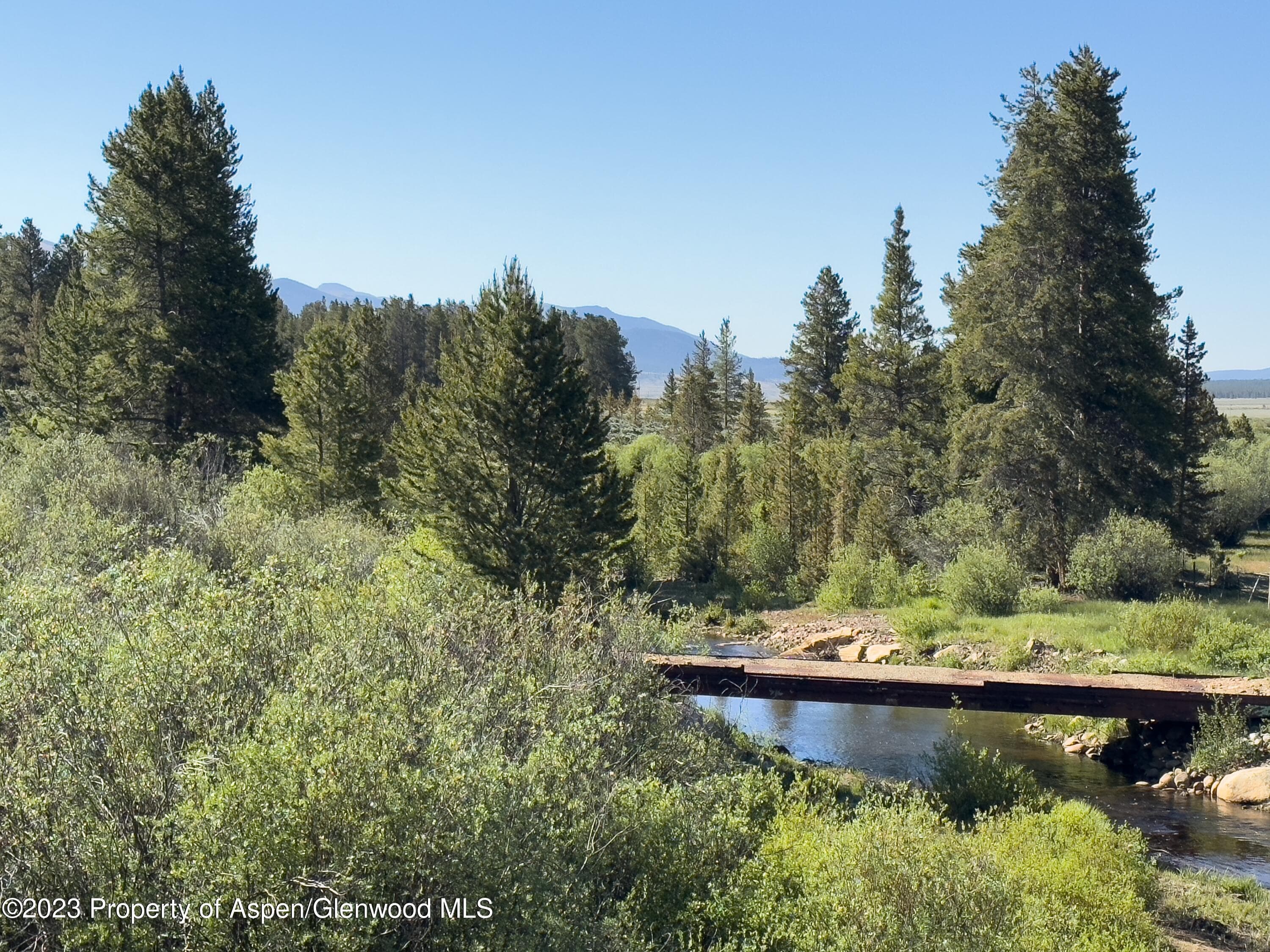 875 Hwy 300, Leadville, CO 80461 - Photo 28