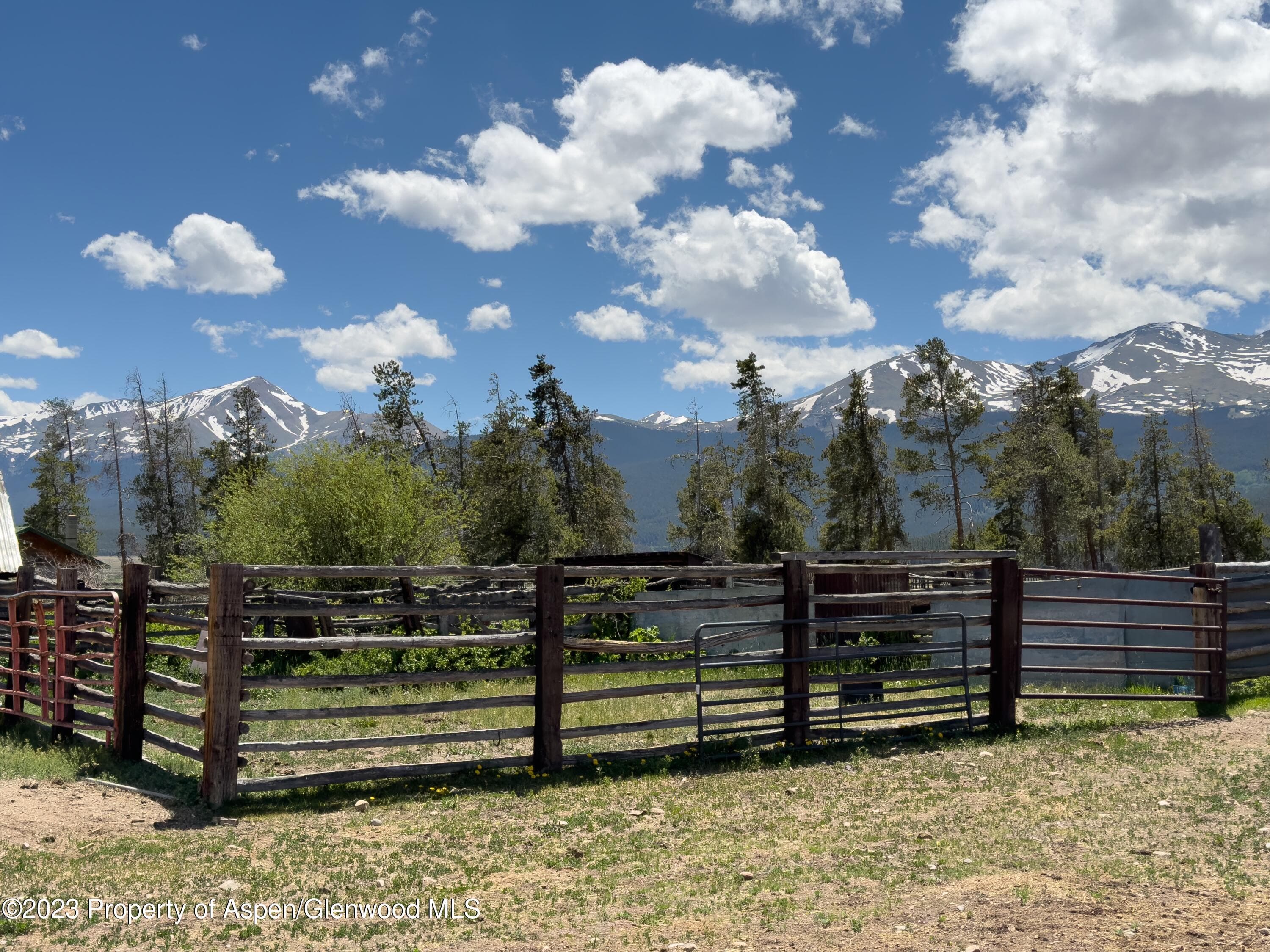875 Hwy 300, Leadville, CO 80461 - Photo 33