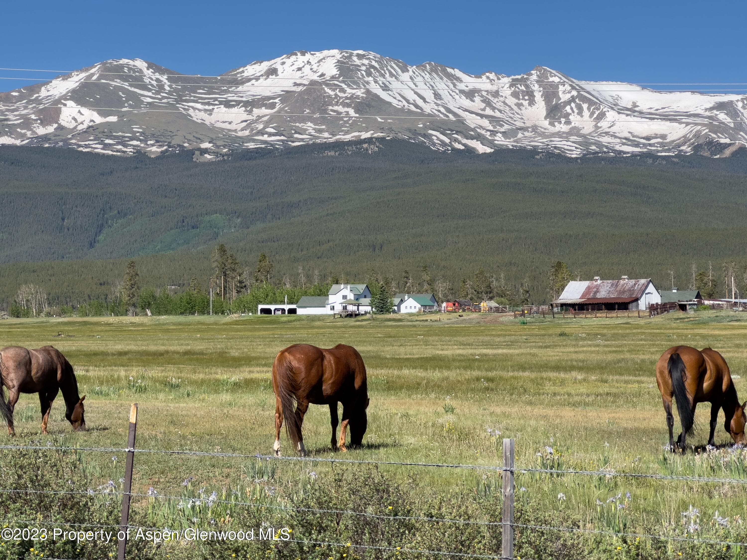 875 Hwy 300, Leadville, CO 80461 - Photo 34