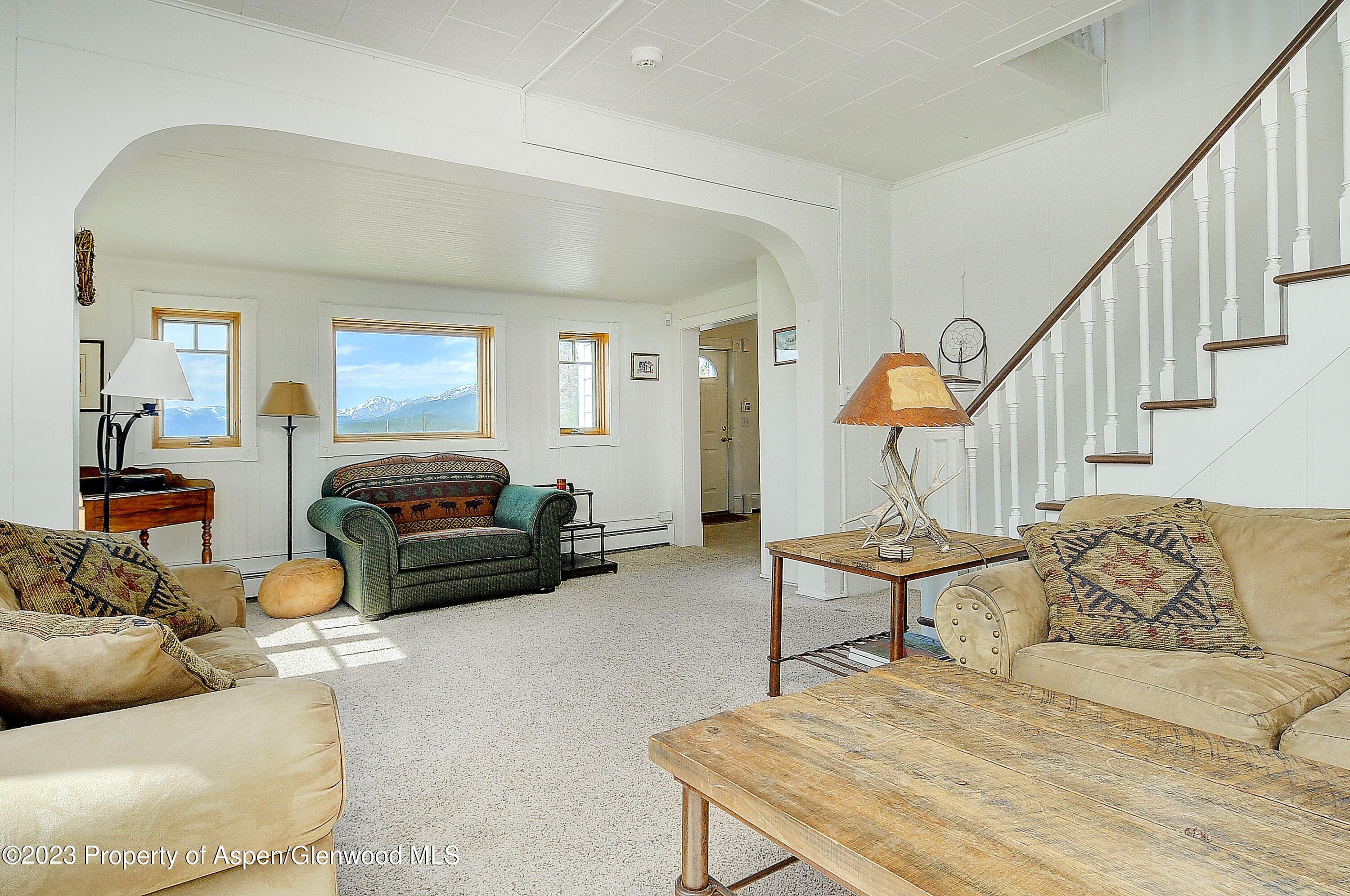 875 Hwy 300, Leadville, CO 80461 - Photo 6
