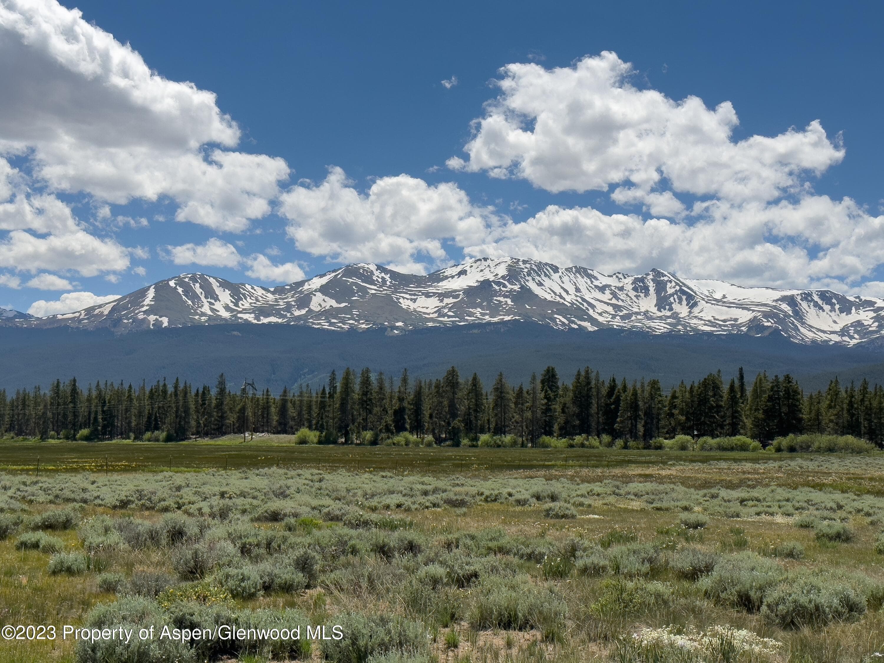 875 Hwy 300, Leadville, CO 80461 - Photo 39