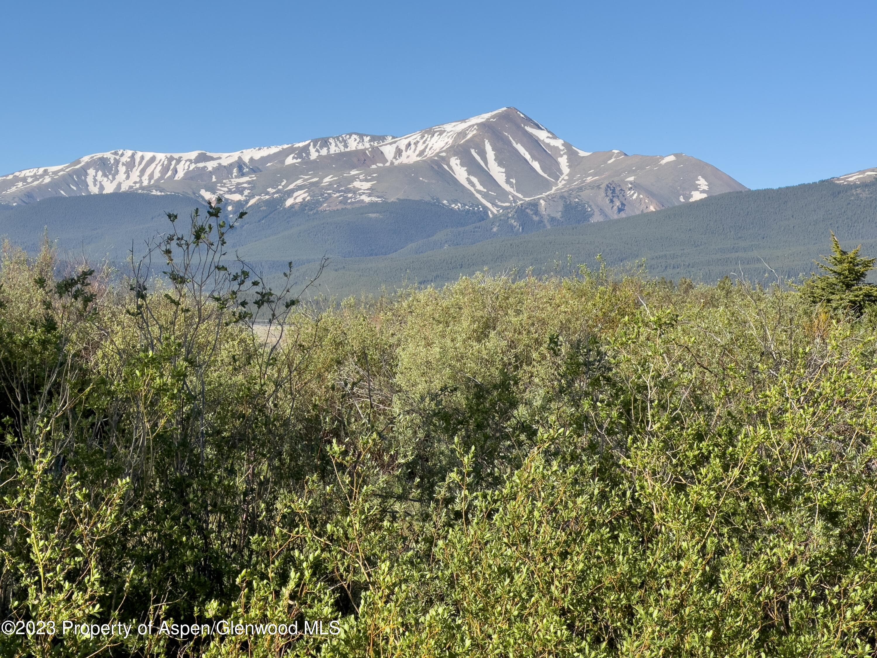875 Hwy 300, Leadville, CO 80461 - Photo 41