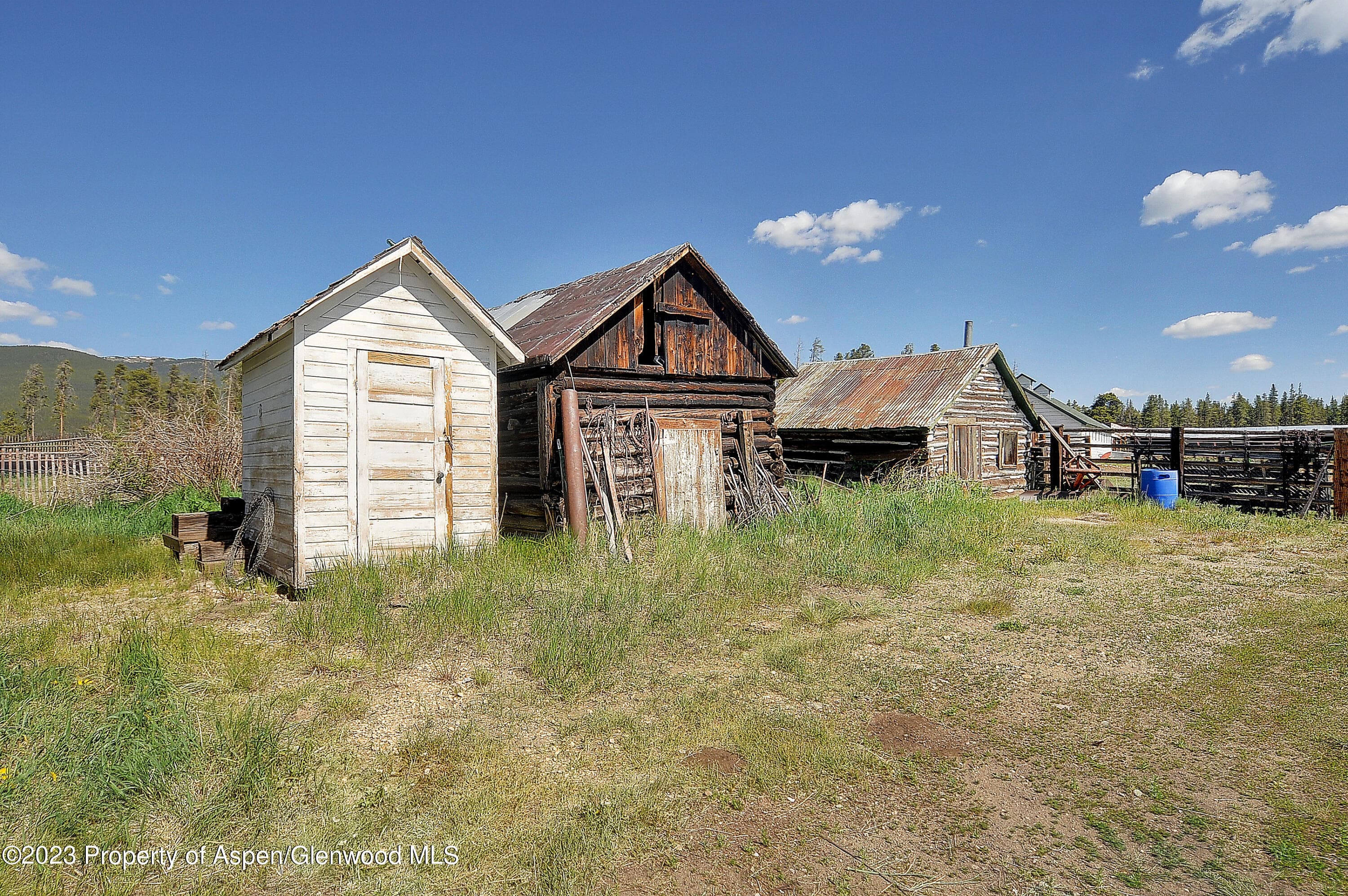875 Hwy 300, Leadville, CO 80461 - Photo 26
