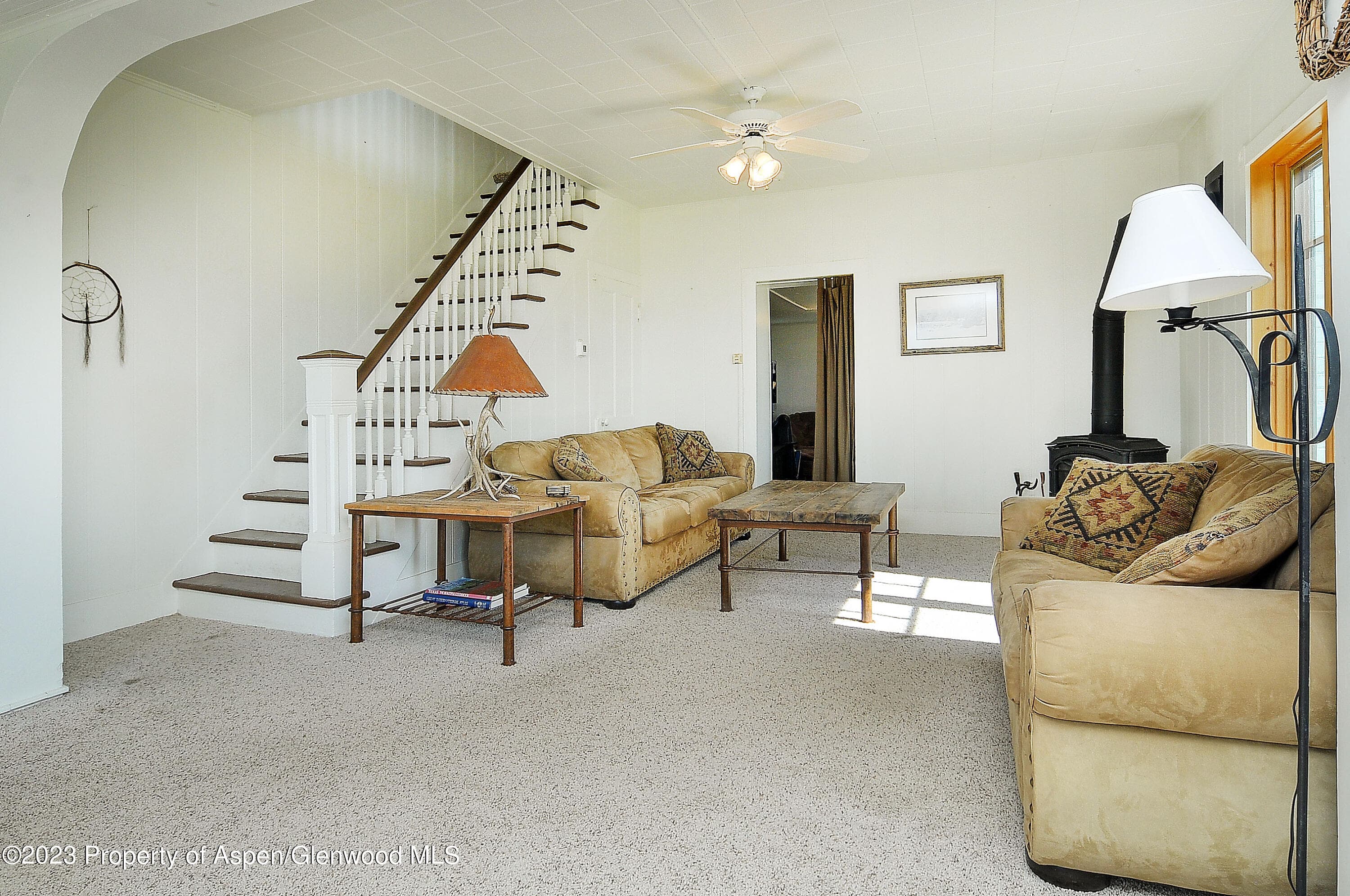 875 Hwy 300, Leadville, CO 80461 - Photo 7