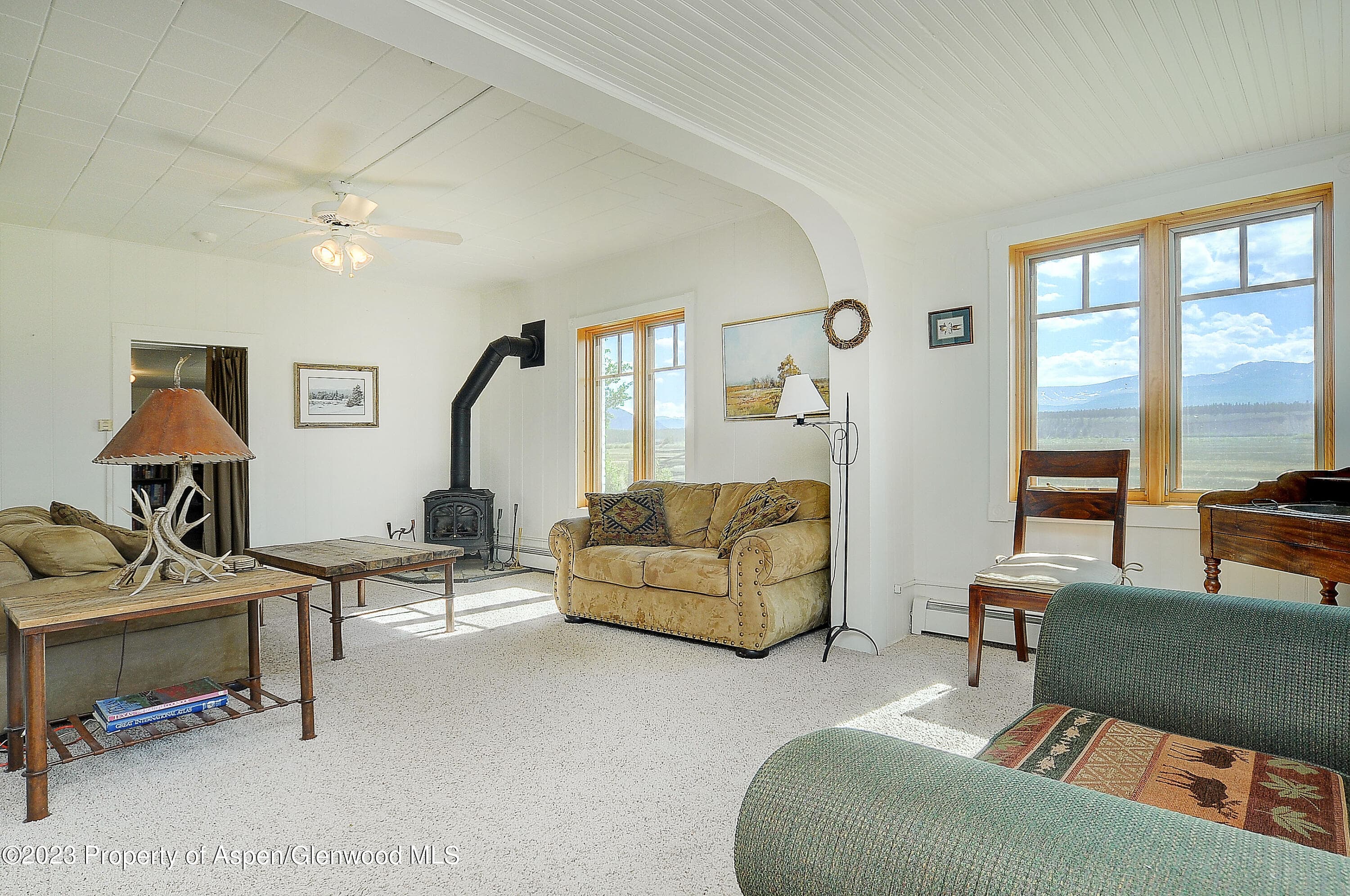 875 Hwy 300, Leadville, CO 80461 - Photo 8