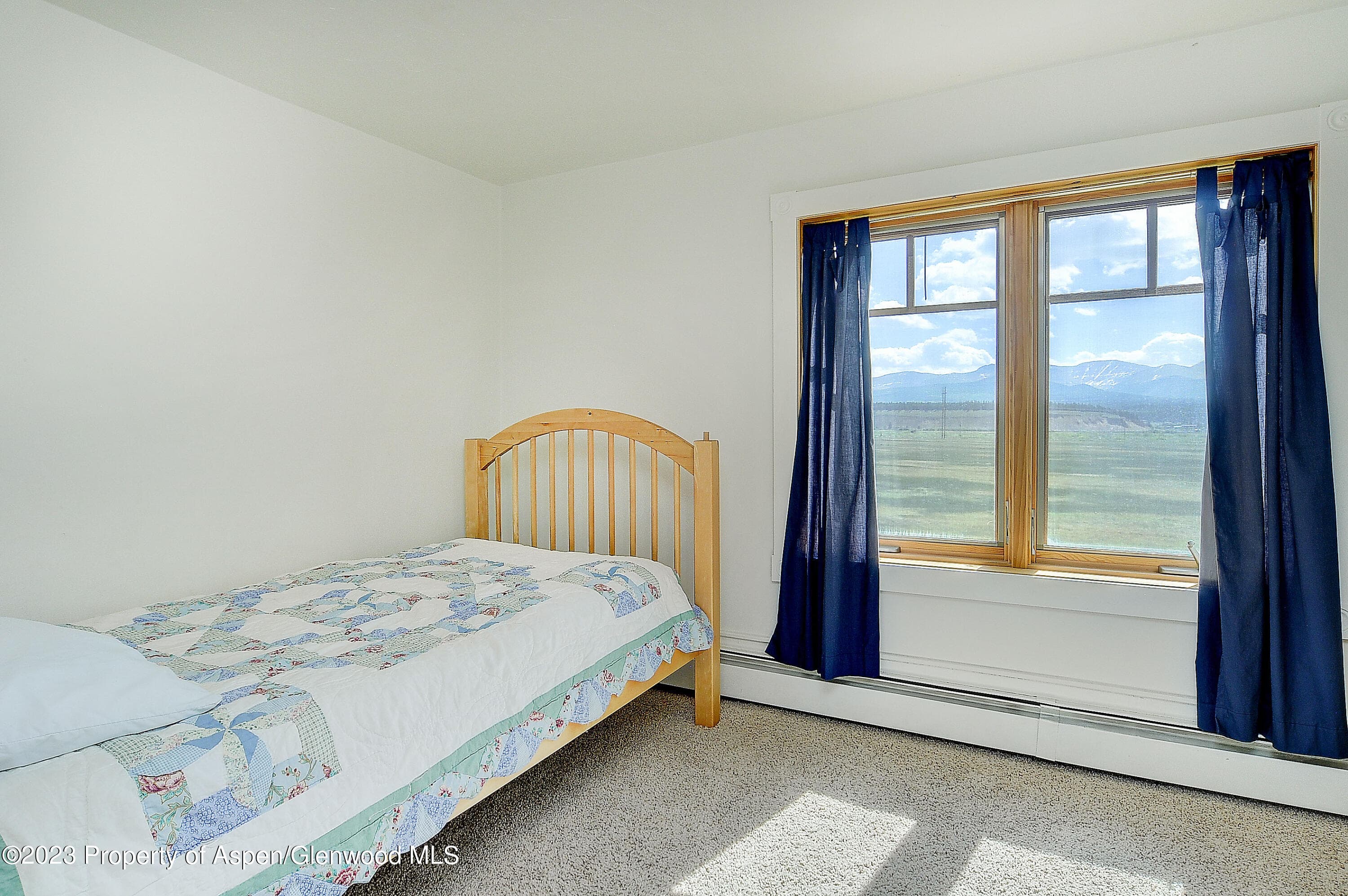 875 Hwy 300, Leadville, CO 80461 - Photo 15