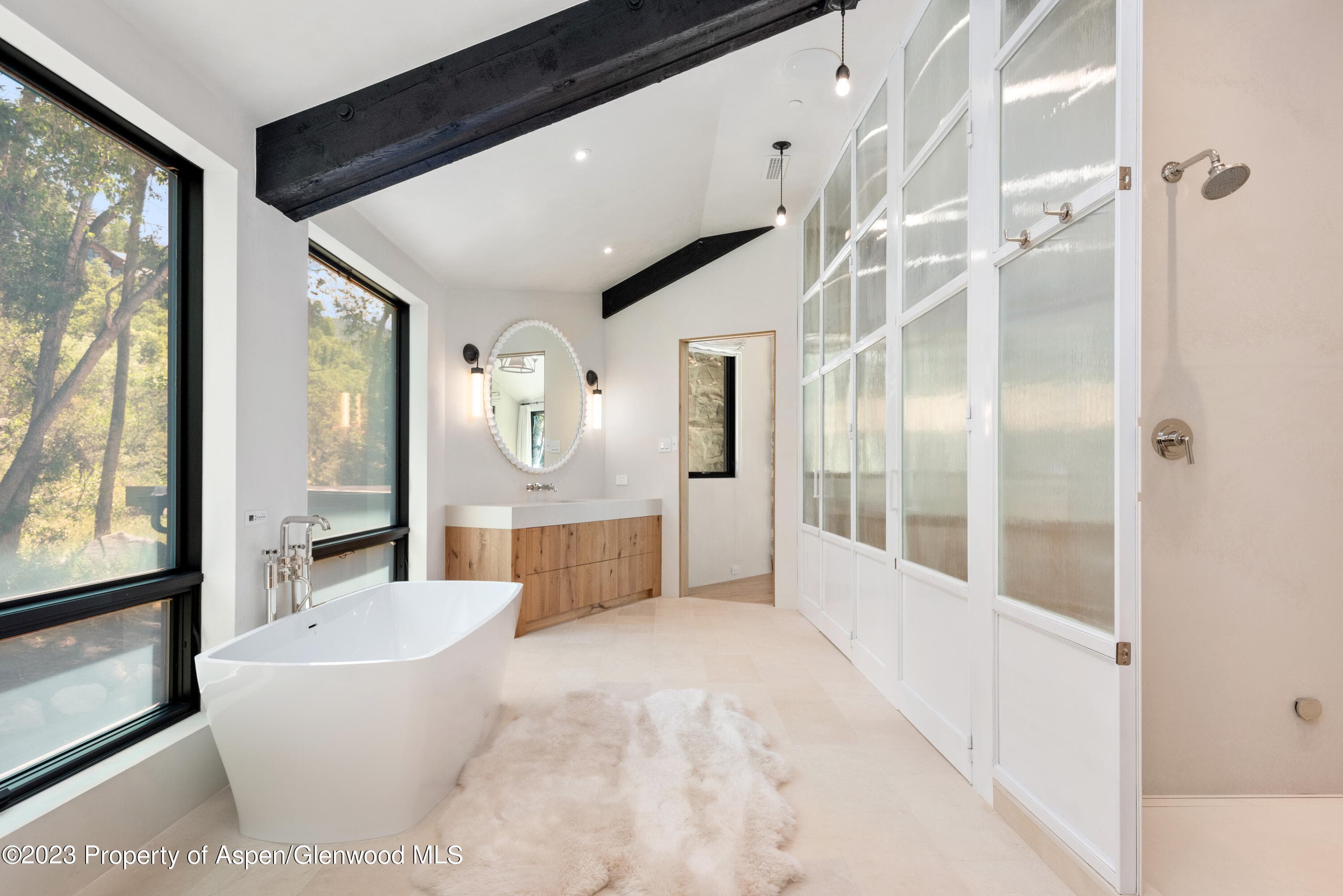 763 Willoughby Way, Aspen, CO 81611 - Photo 21