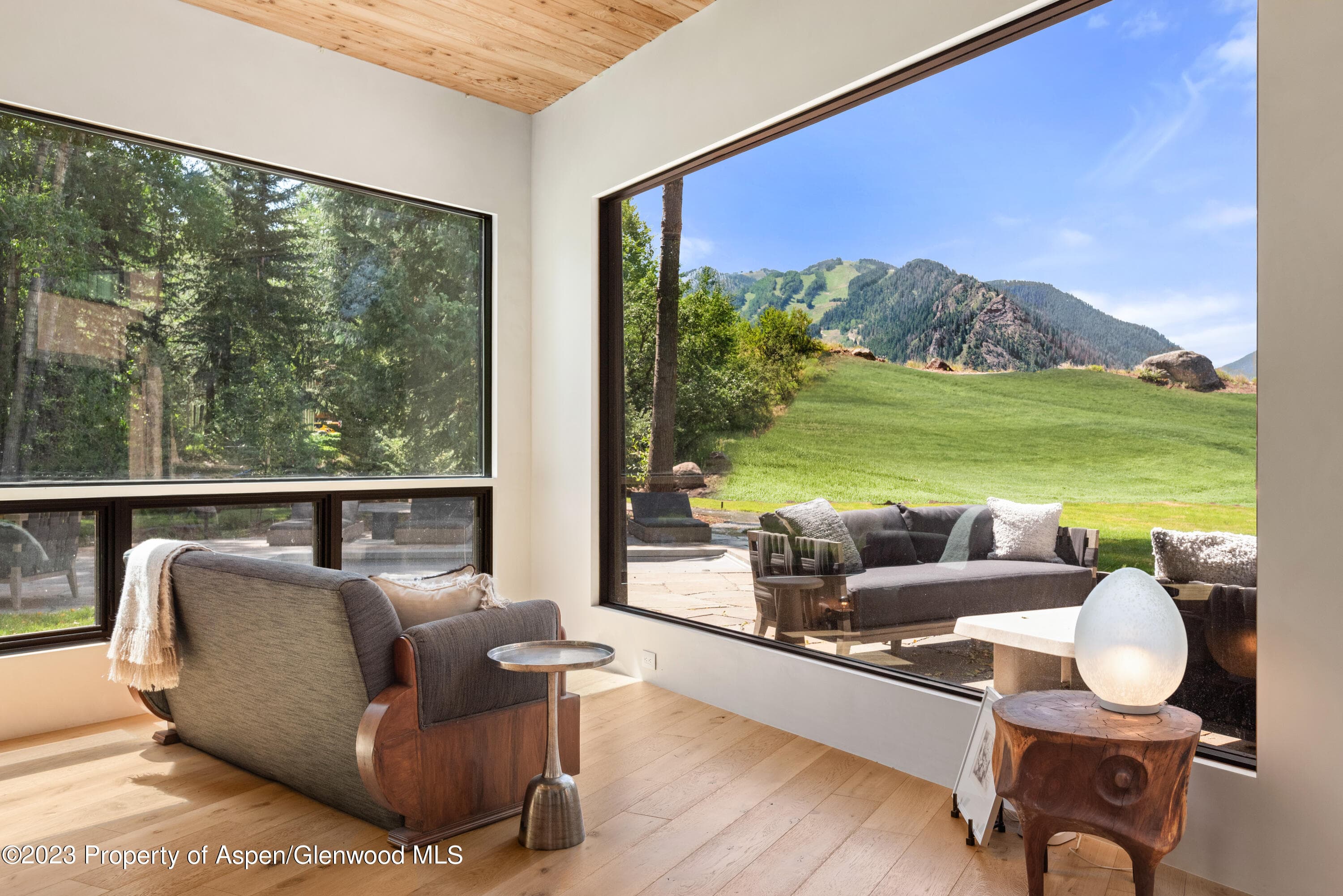 763 Willoughby Way, Aspen, CO 81611 - Photo 7