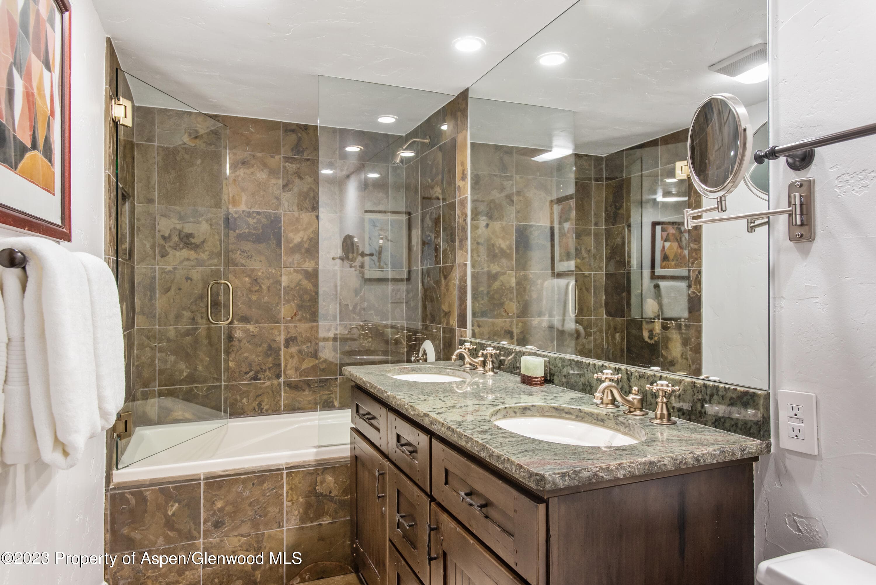 1039 E Cooper Avenue 9, Aspen, CO 81611 - Photo 11