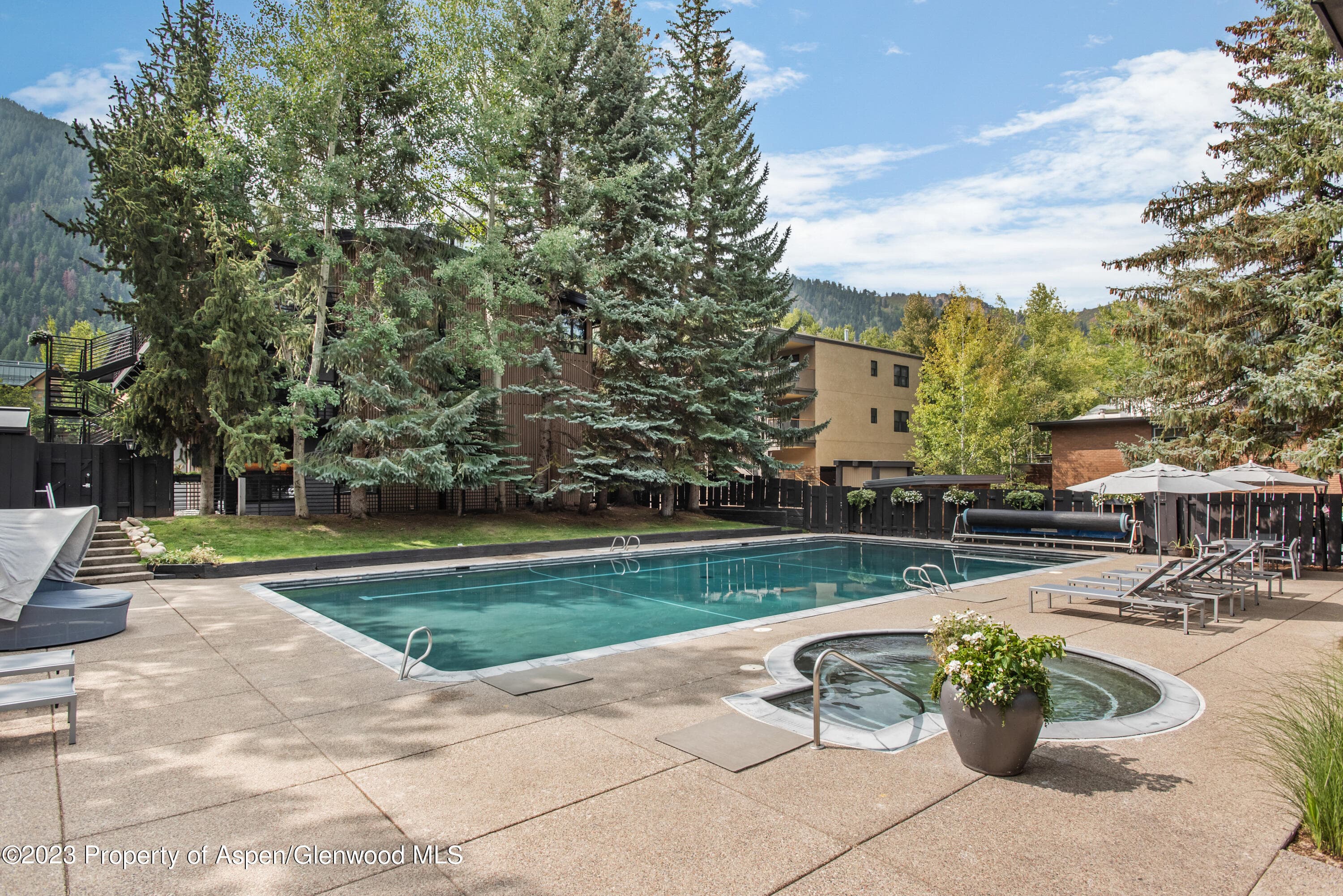 1039 E Cooper Avenue 9, Aspen, CO 81611 - Photo 15