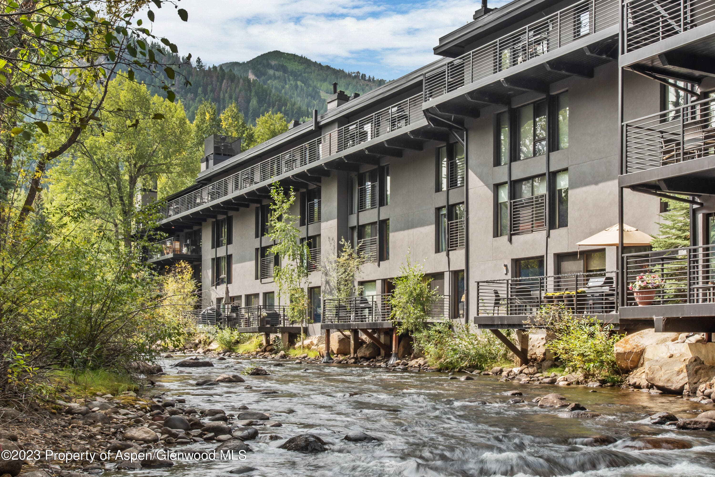 1039 E Cooper Avenue 9, Aspen, CO 81611 - Photo 16
