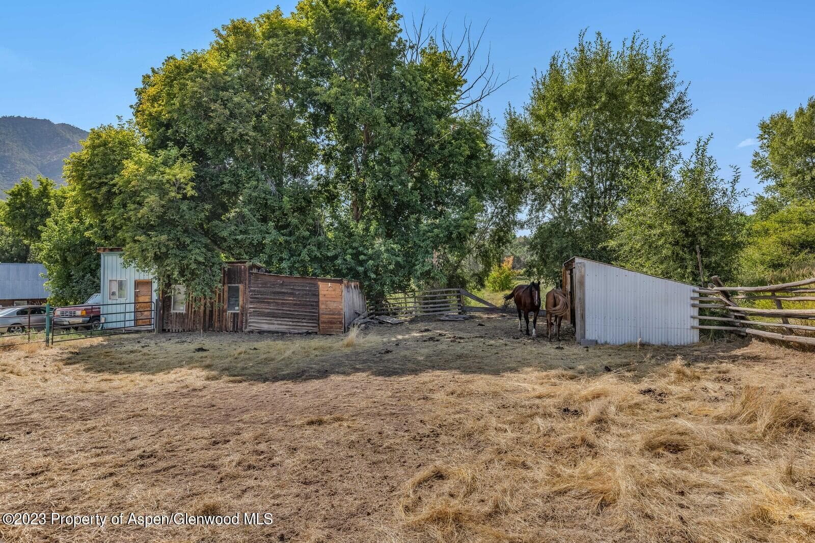 930 County Road 245, New Castle, CO 81647 - Photo 4