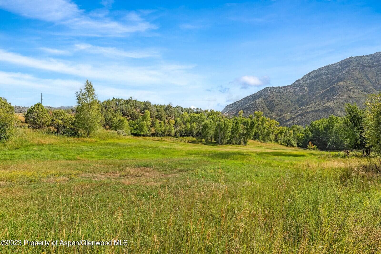 930 County Road 245, New Castle, CO 81647 - Photo 5