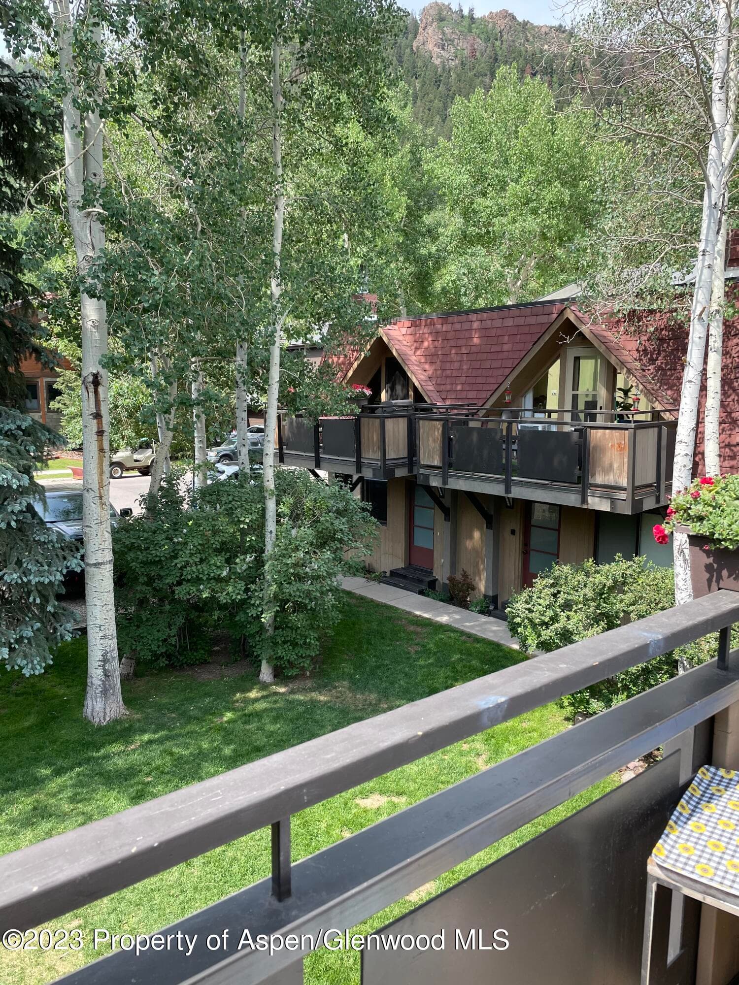 108 W Hyman Avenue Unit 7, Aspen, CO 81611 - Photo 17