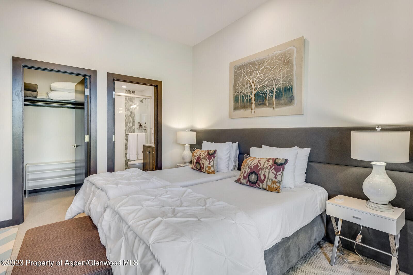 505 PARK Circle, Aspen, CO 81611 - Photo 32