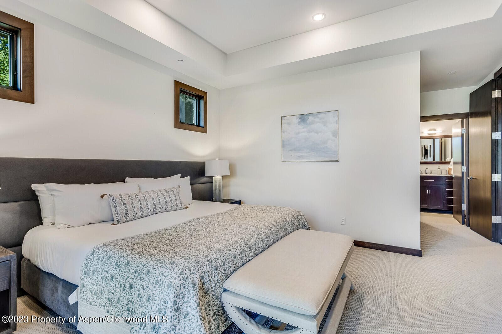 505 PARK Circle, Aspen, CO 81611 - Photo 28