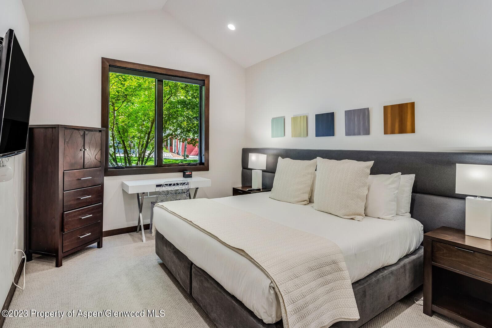 505 PARK Circle, Aspen, CO 81611 - Photo 22