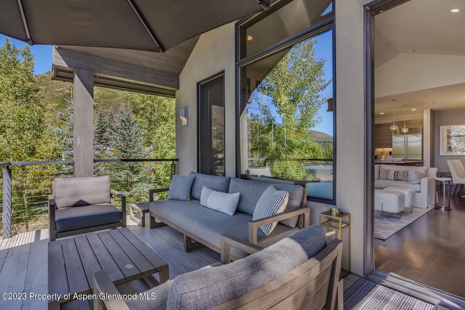 505 PARK Circle, Aspen, CO 81611 - Photo 40