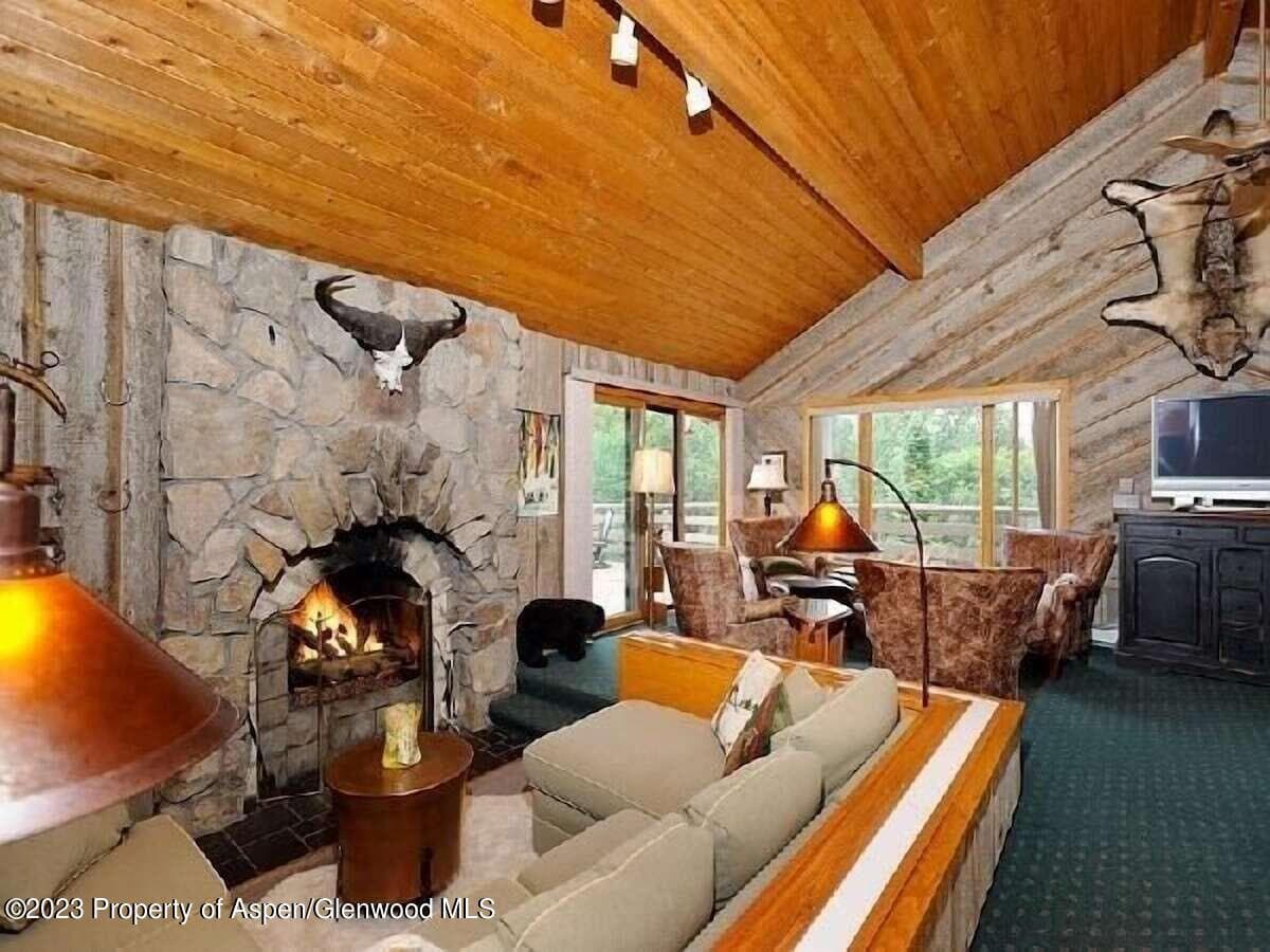 324 TWINING FLATS Road, Woody Creek, CO 81656 - Photo 5
