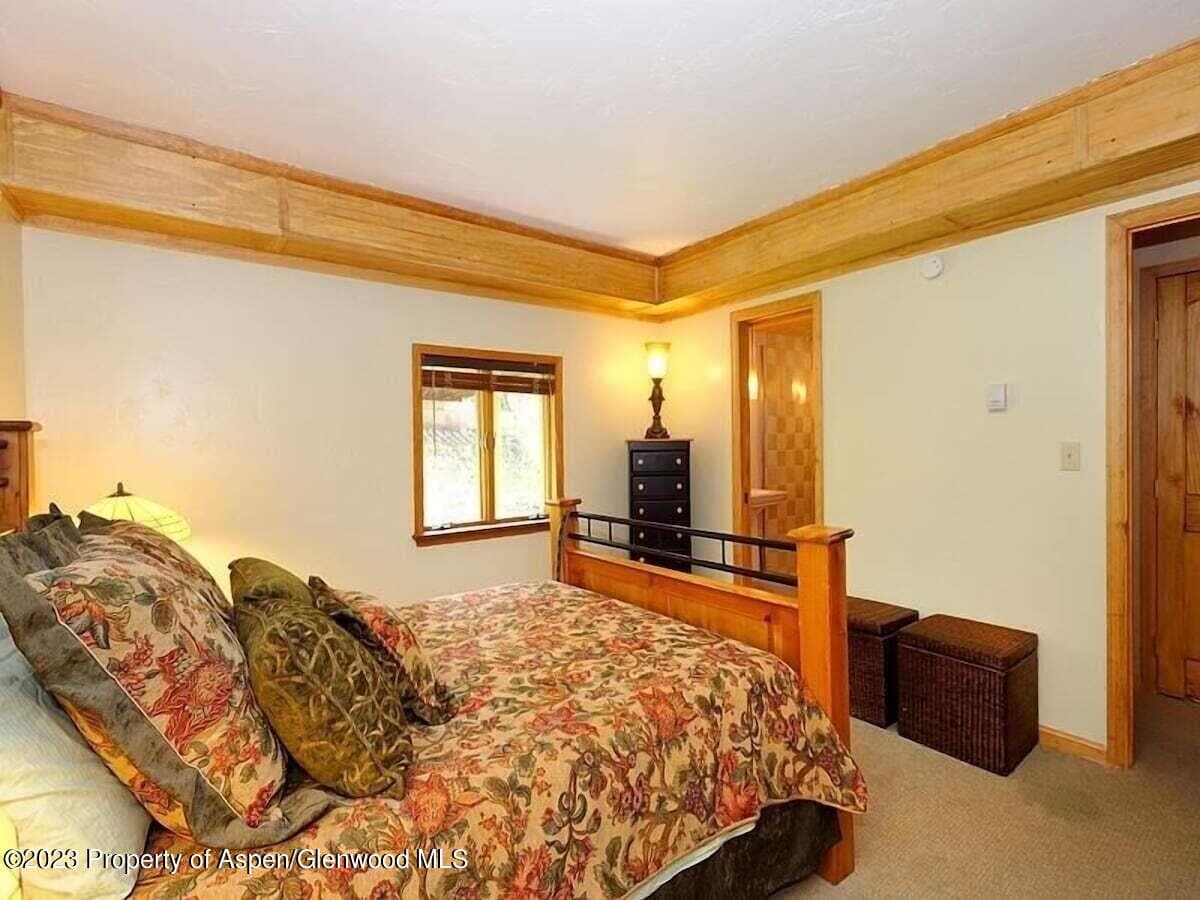 324 TWINING FLATS Road, Woody Creek, CO 81656 - Photo 19