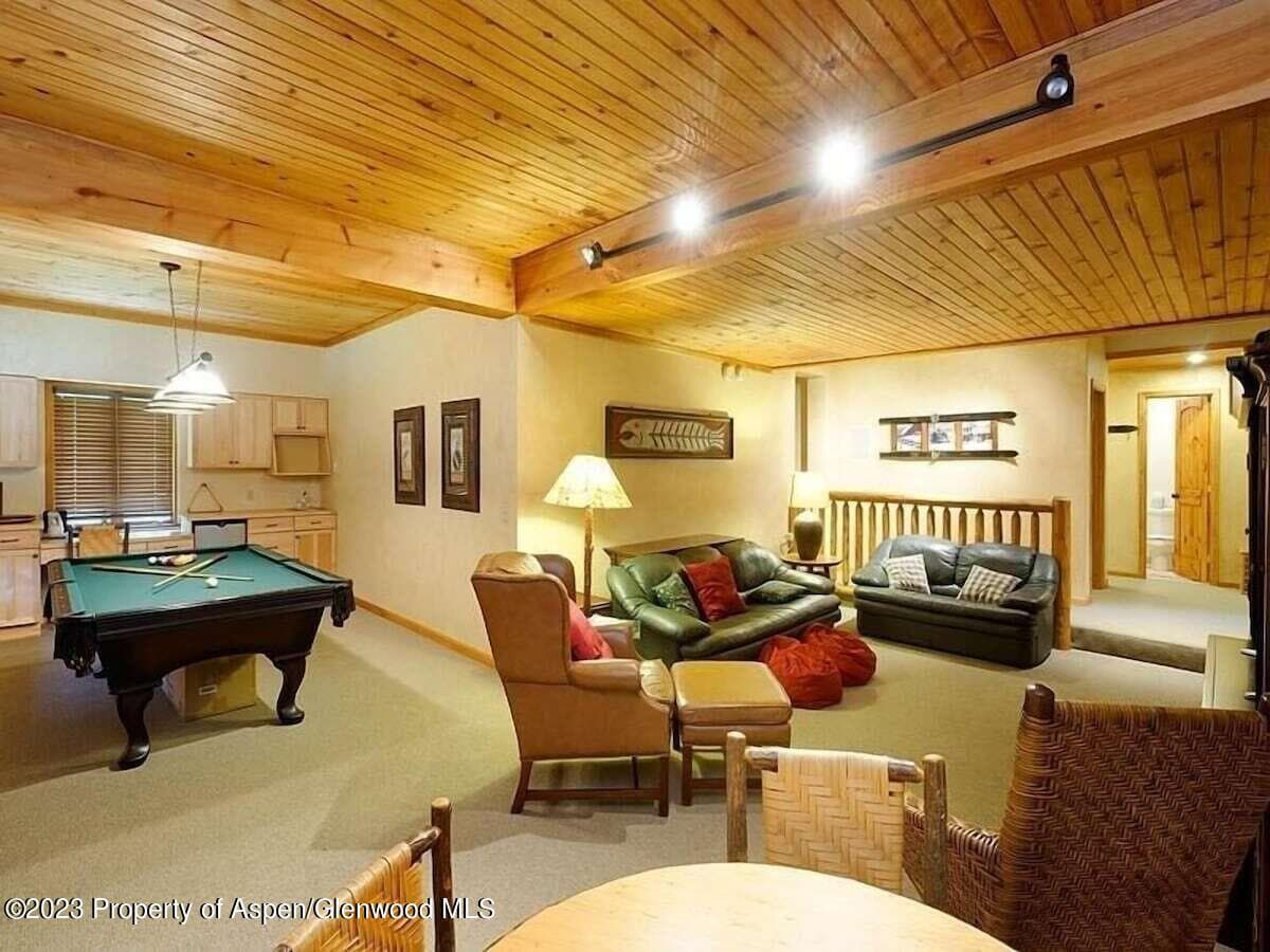 324 TWINING FLATS Road, Woody Creek, CO 81656 - Photo 22