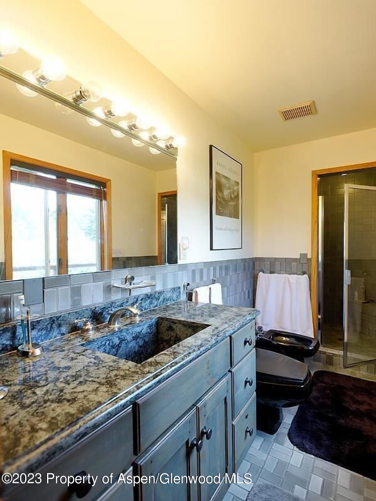 324 TWINING FLATS Road, Woody Creek, CO 81656 - Photo 24