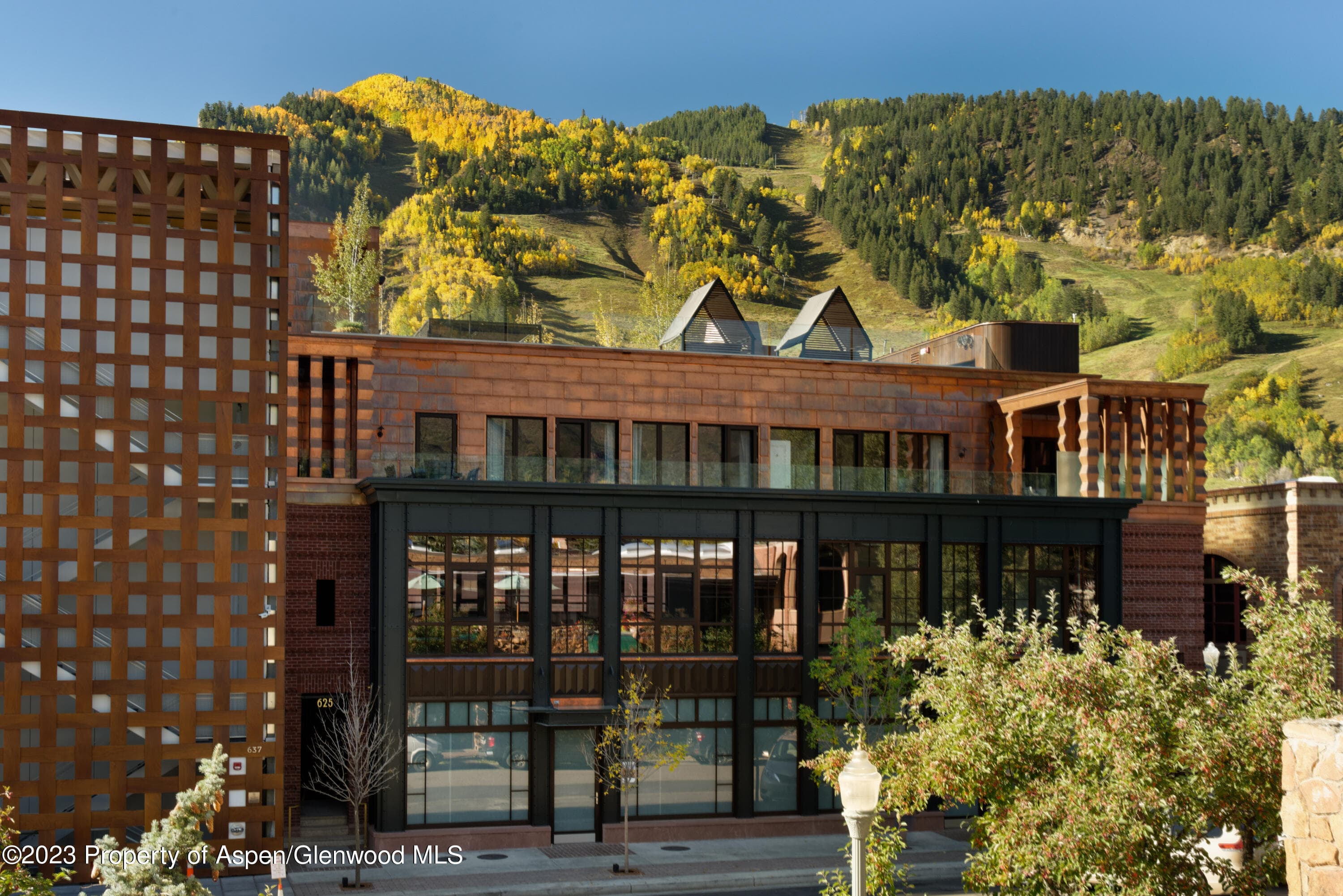 625 E Hyman Avenue 001, Aspen, CO 81611