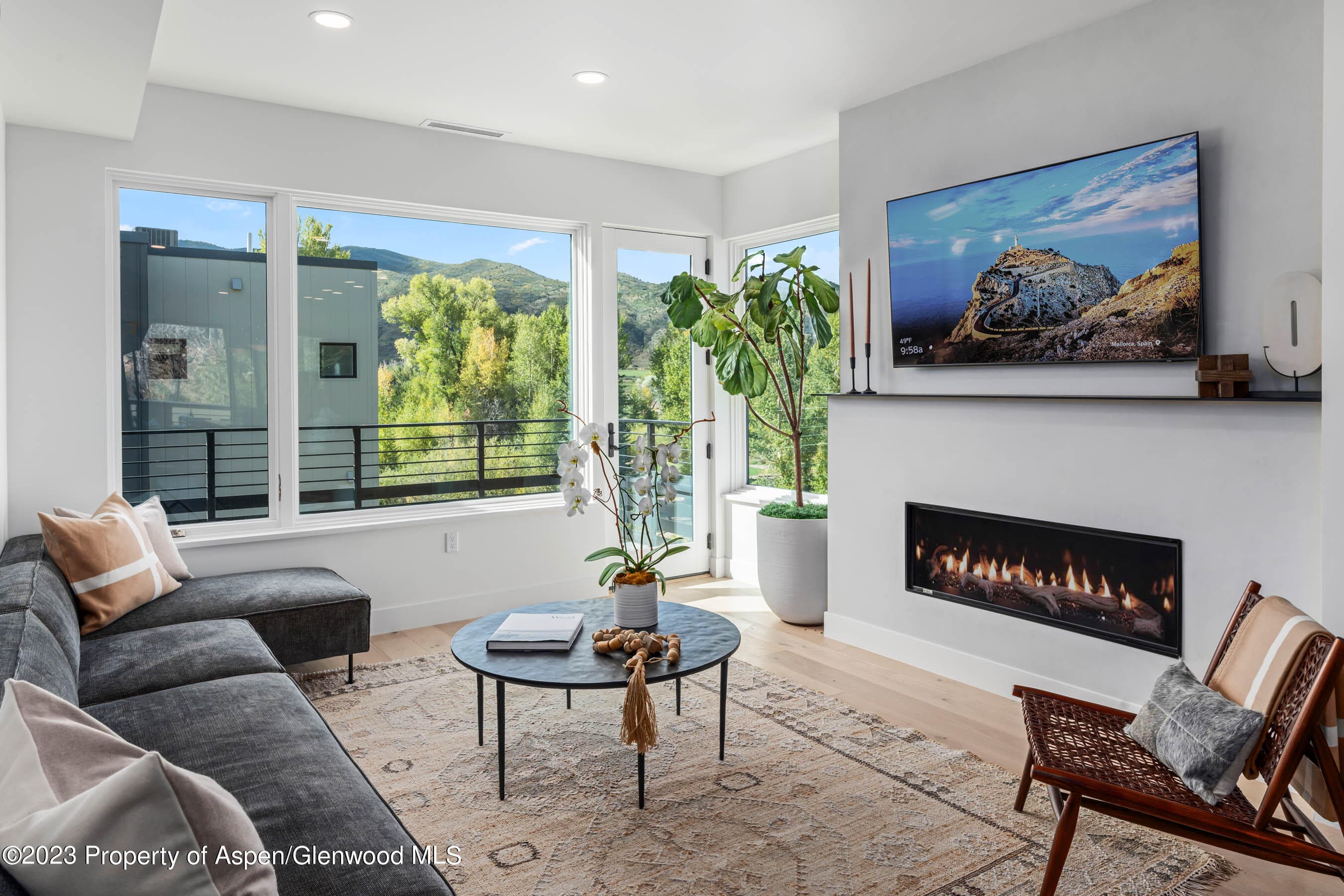 22840 Two Rivers Road 300, Basalt, CO 81621 - Photo 2