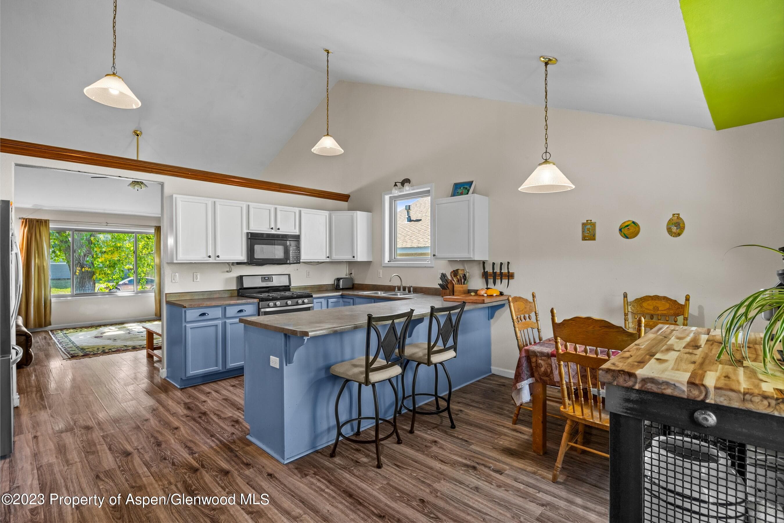 295 Buckthorn Road, New Castle, CO 81647 - Photo 13
