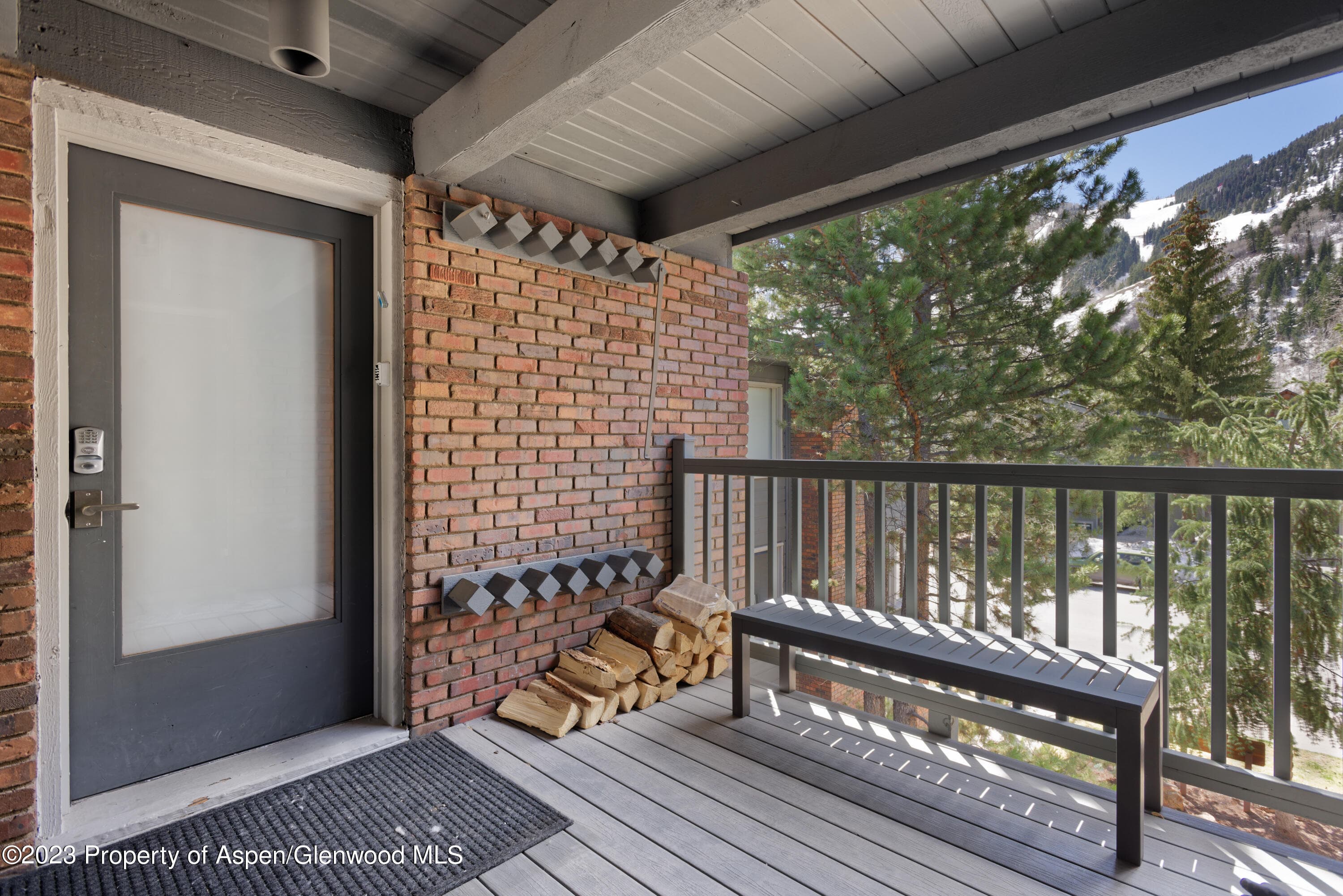 124 W Hyman Avenue 3D, Aspen, CO 81611 - Photo 15
