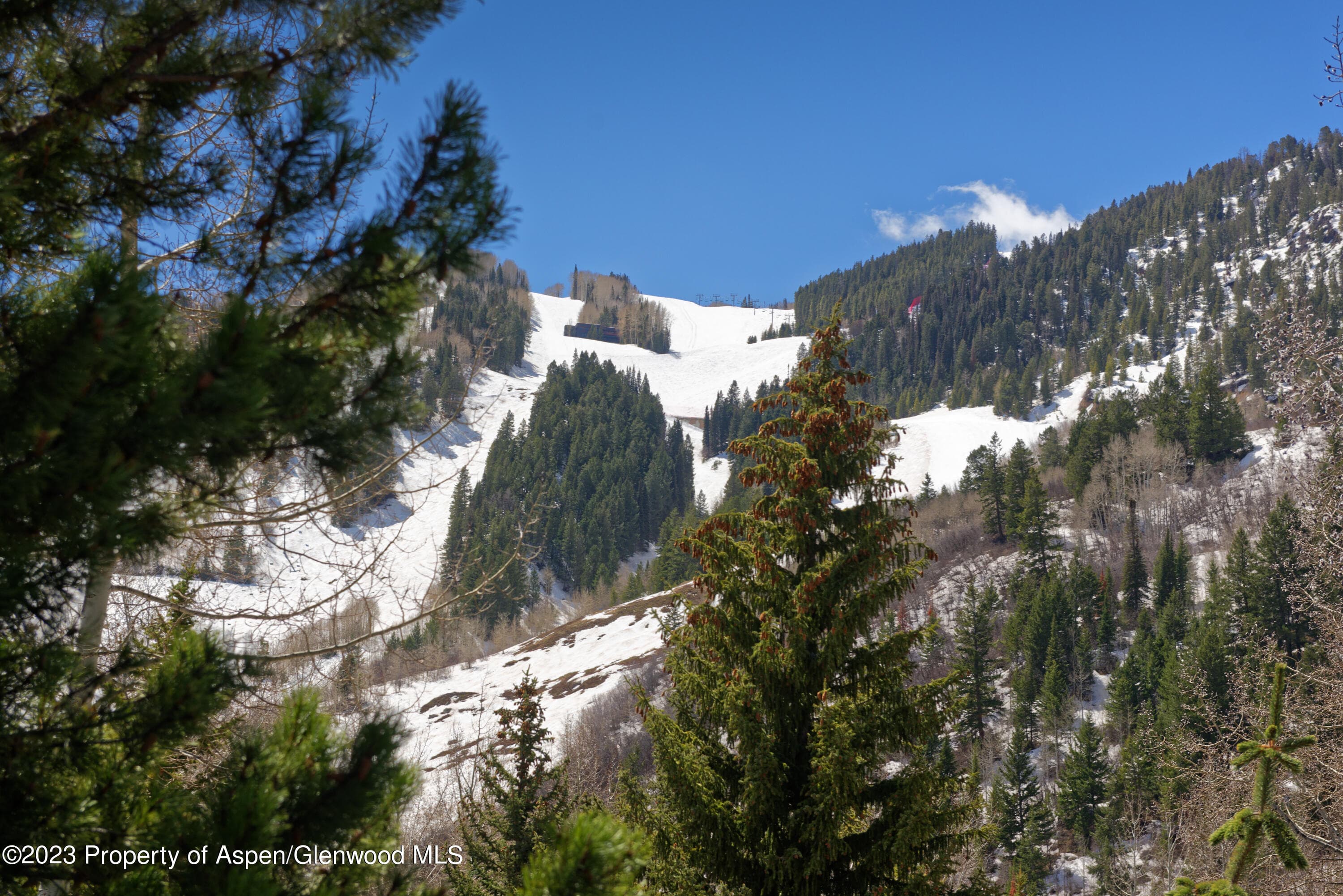 124 W Hyman Avenue 3D, Aspen, CO 81611 - Photo 16