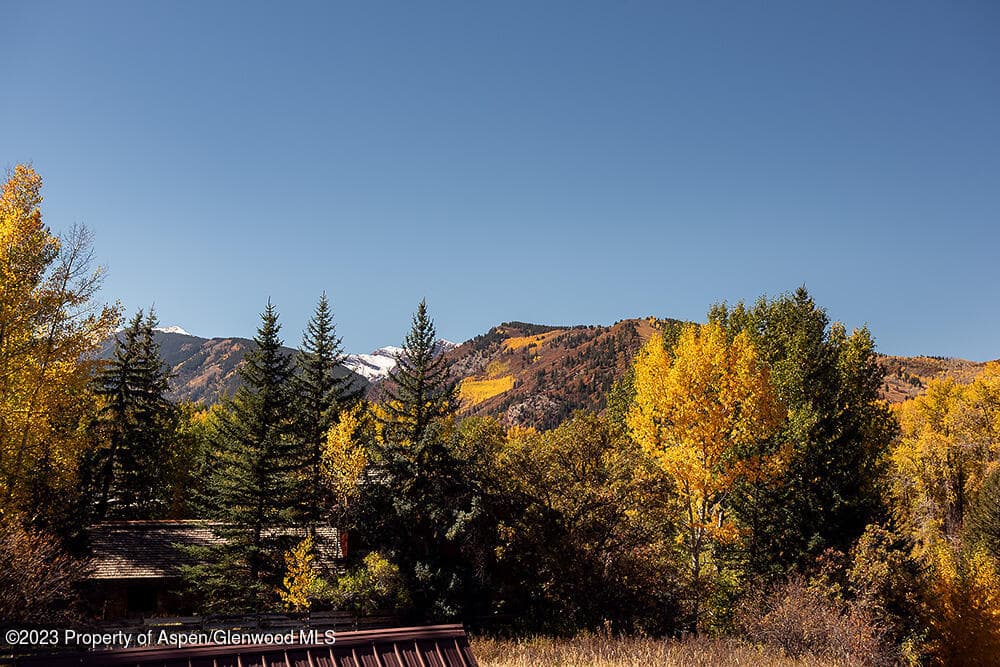 301 S 7th Street, Aspen, CO 81611 - Photo 3