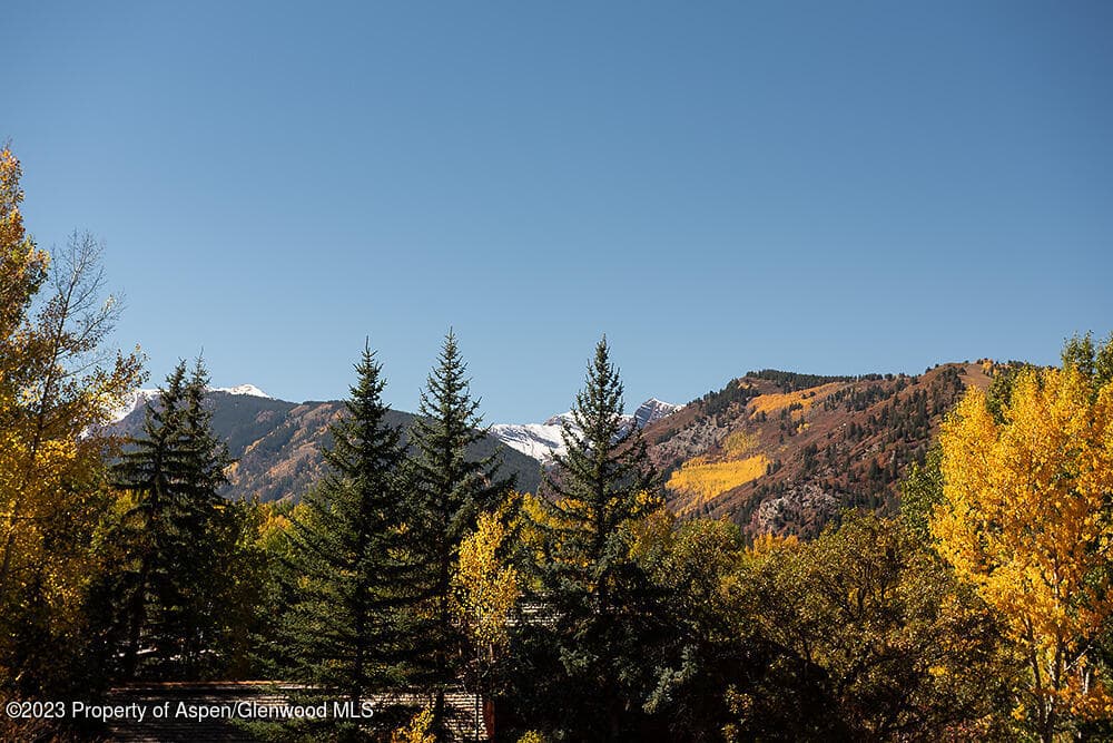301 S 7th Street, Aspen, CO 81611 - Photo 4