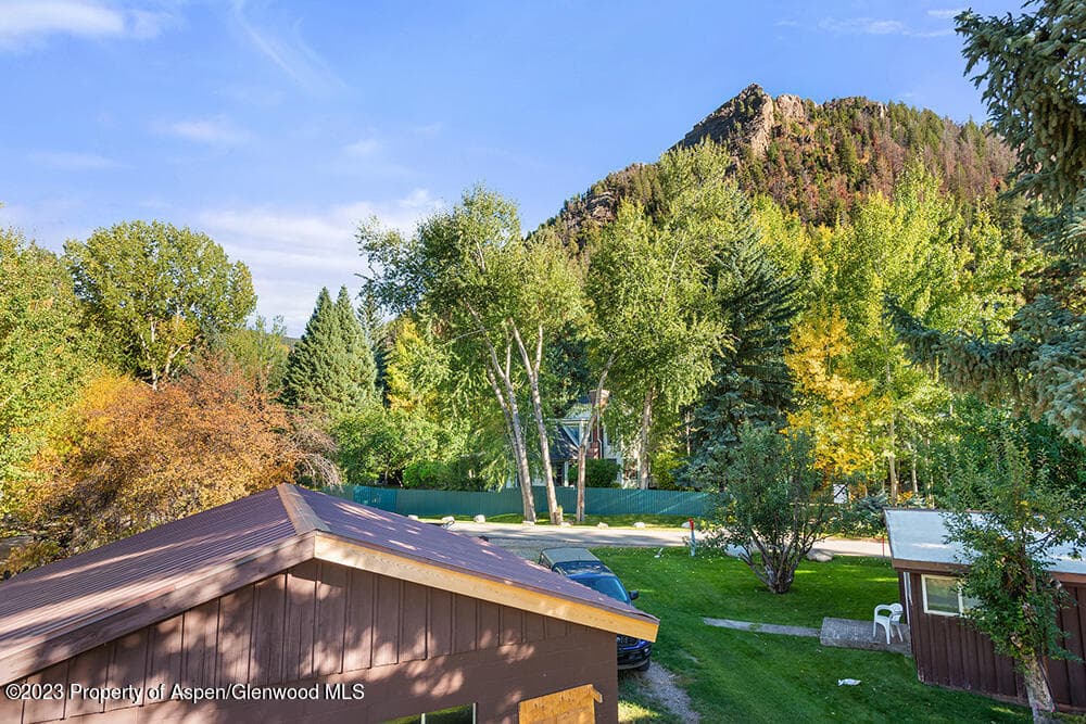 301 S 7th Street, Aspen, CO 81611 - Photo 8