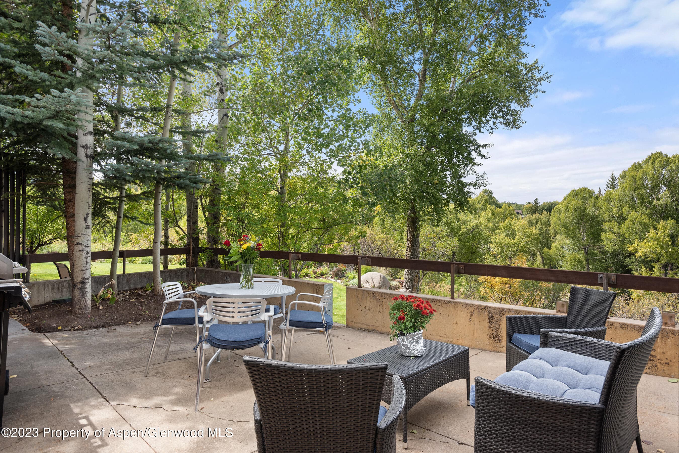 81 Meadows Trustee Road, Aspen, CO 81611 - Photo 9