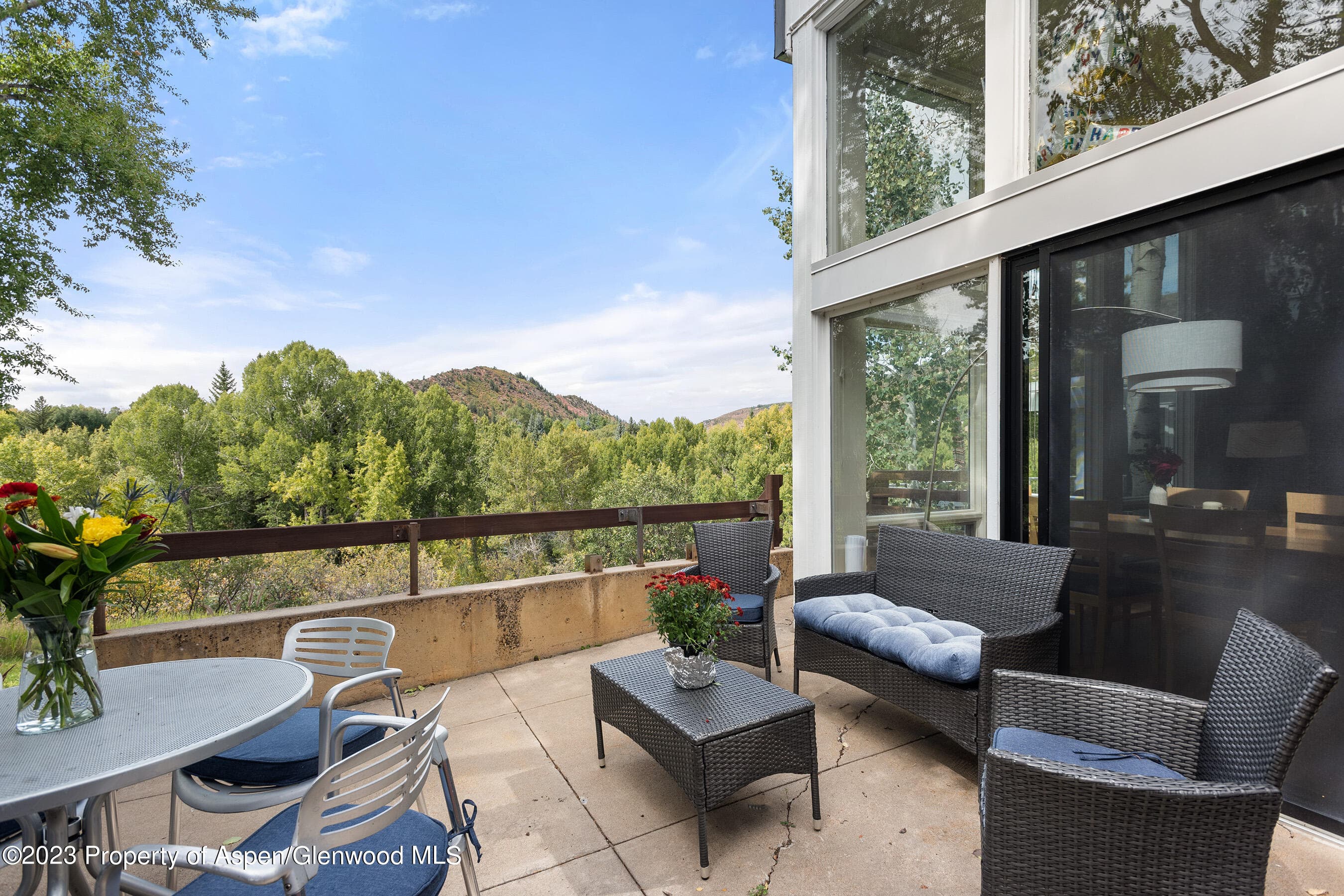 81 Meadows Trustee Road, Aspen, CO 81611 - Photo 10