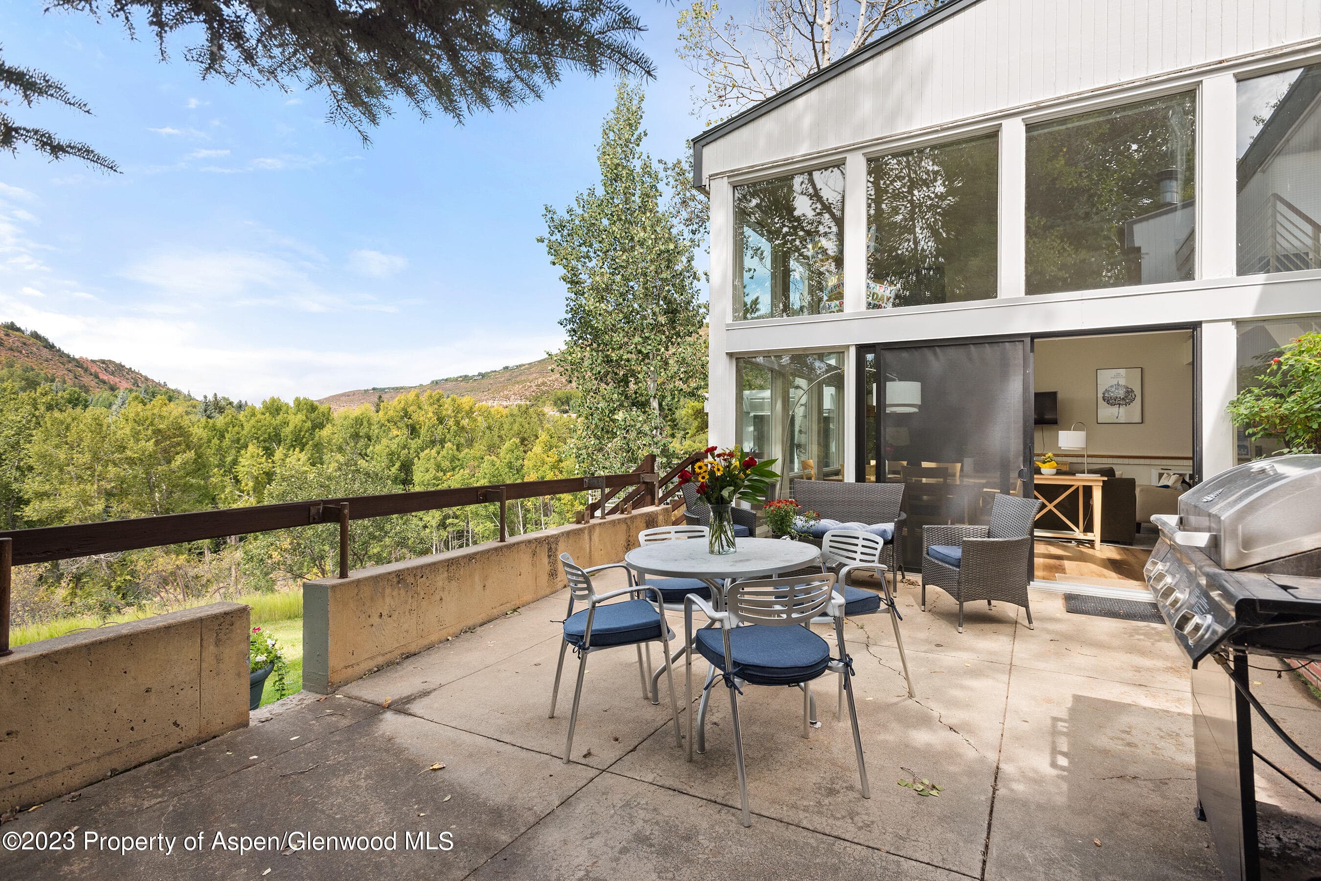 81 Meadows Trustee Road, Aspen, CO 81611 - Photo 11