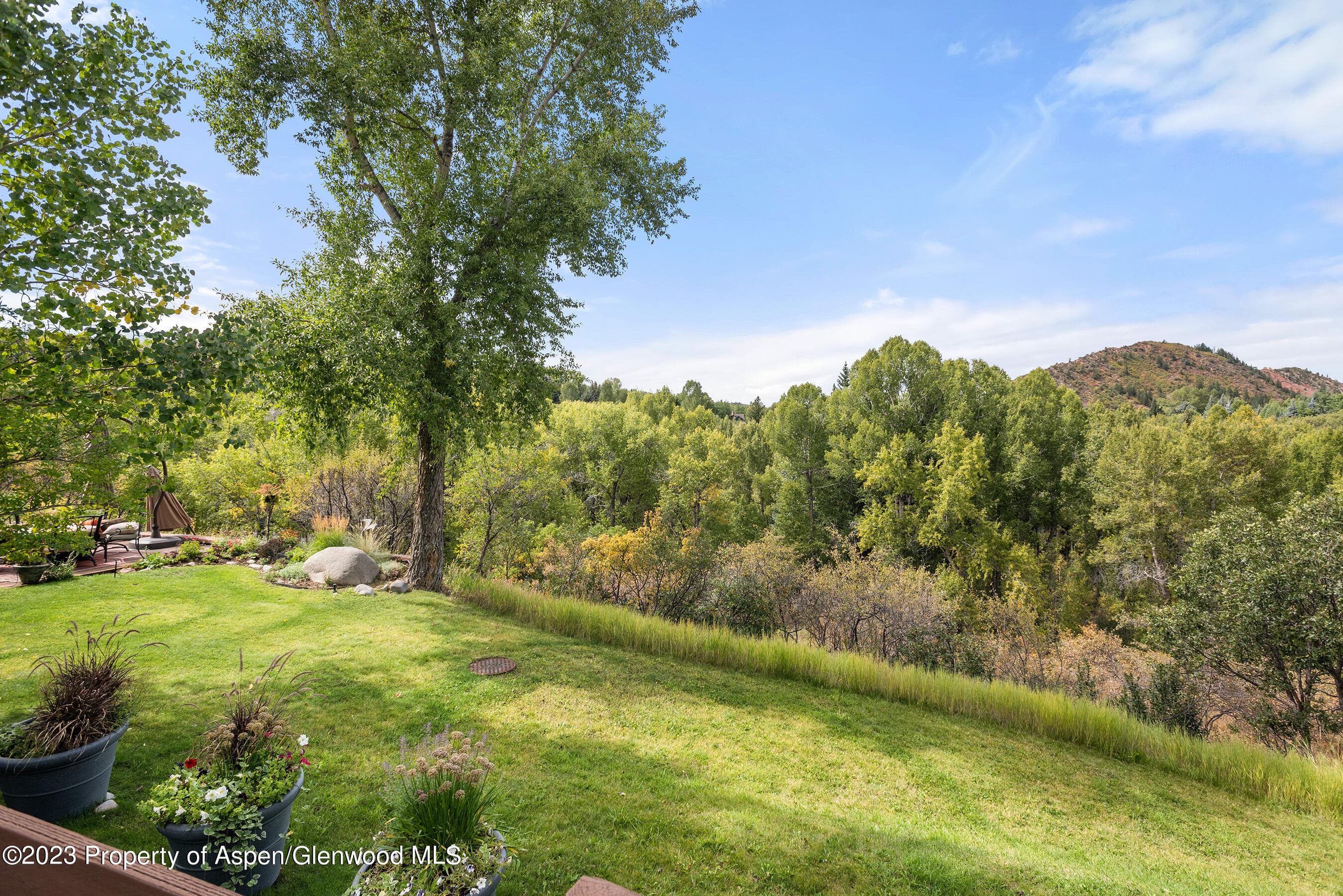81 Meadows Trustee Road, Aspen, CO 81611 - Photo 13