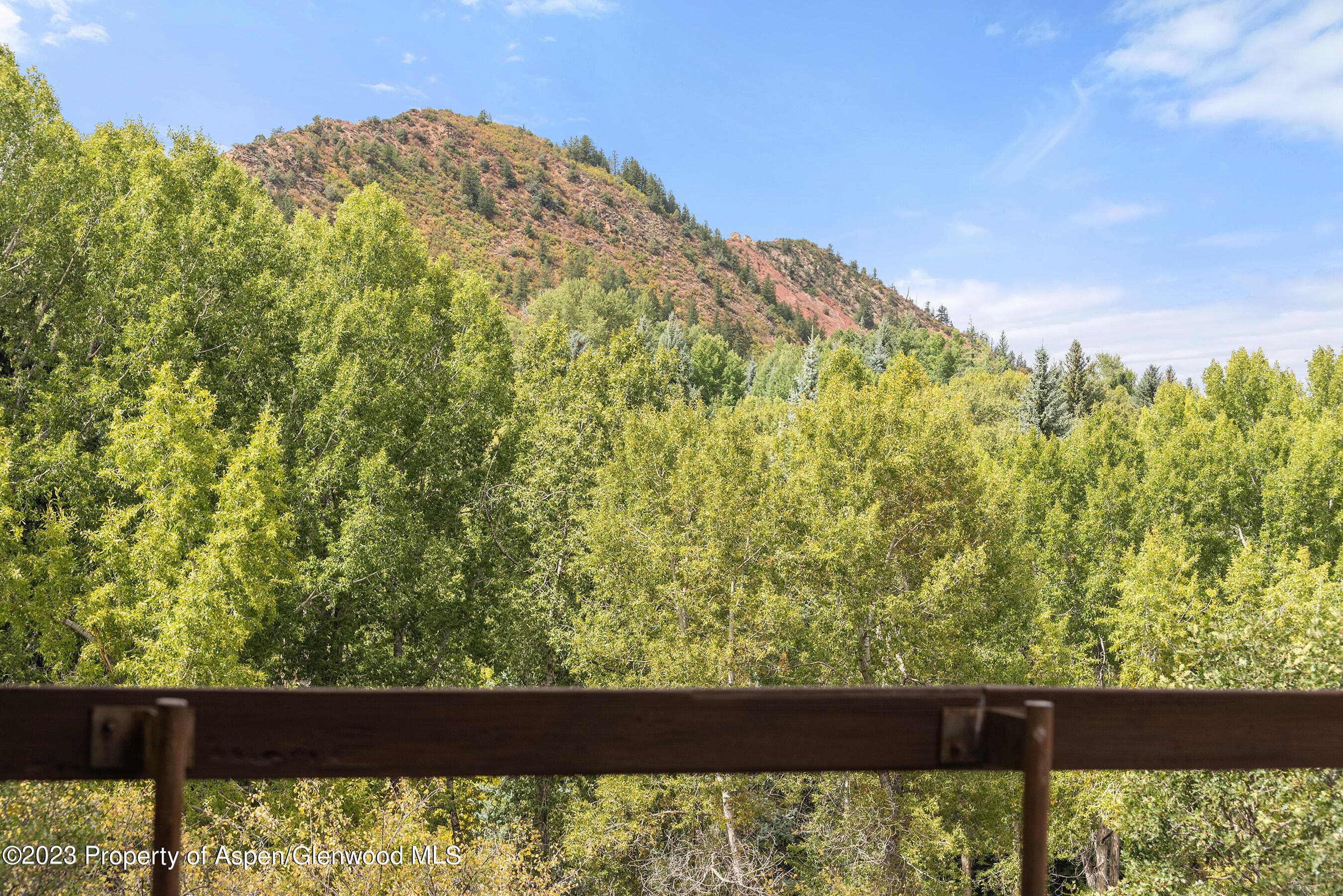 81 Meadows Trustee Road, Aspen, CO 81611 - Photo 16