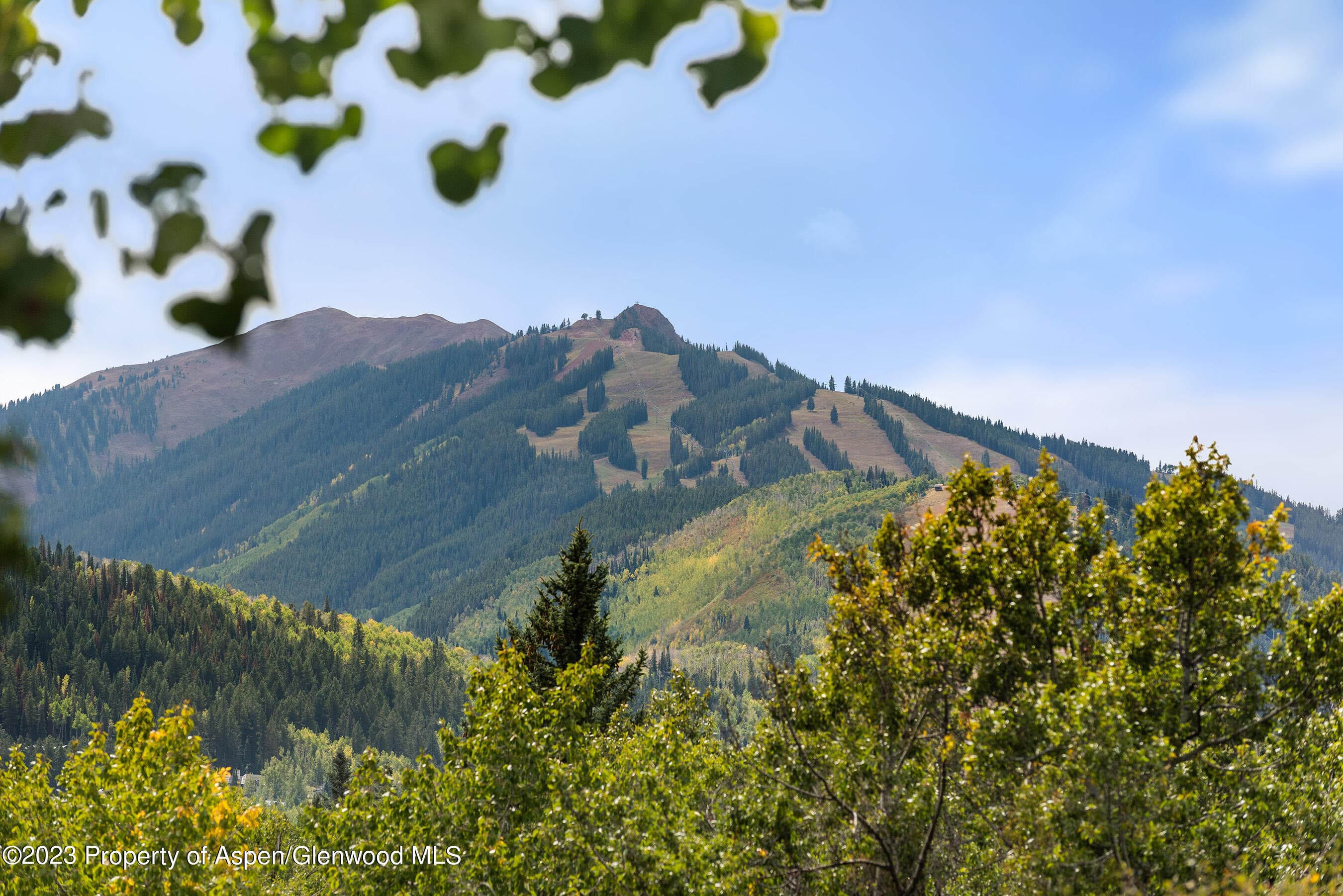 81 Meadows Trustee Road, Aspen, CO 81611 - Photo 17