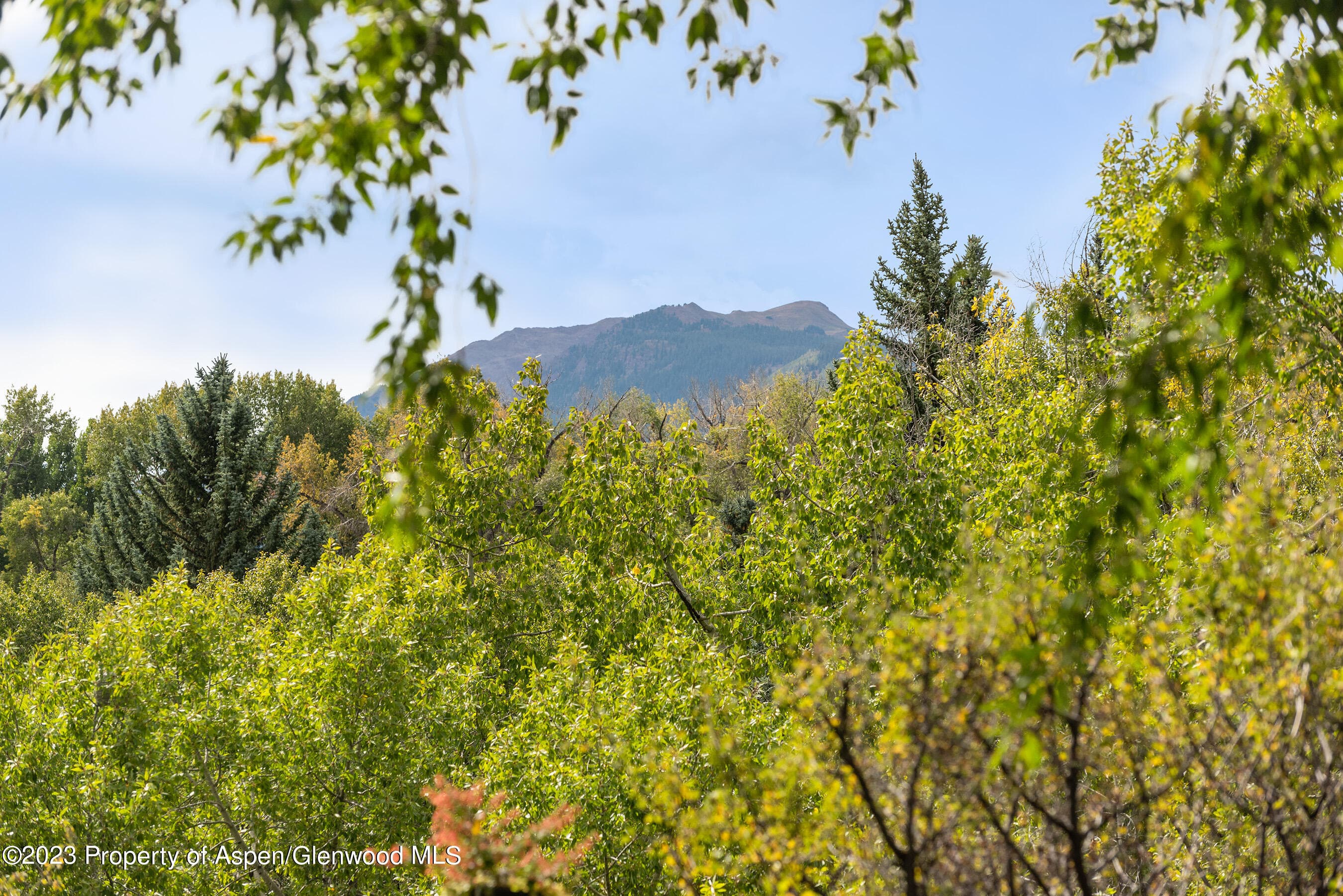 81 Meadows Trustee Road, Aspen, CO 81611 - Photo 18