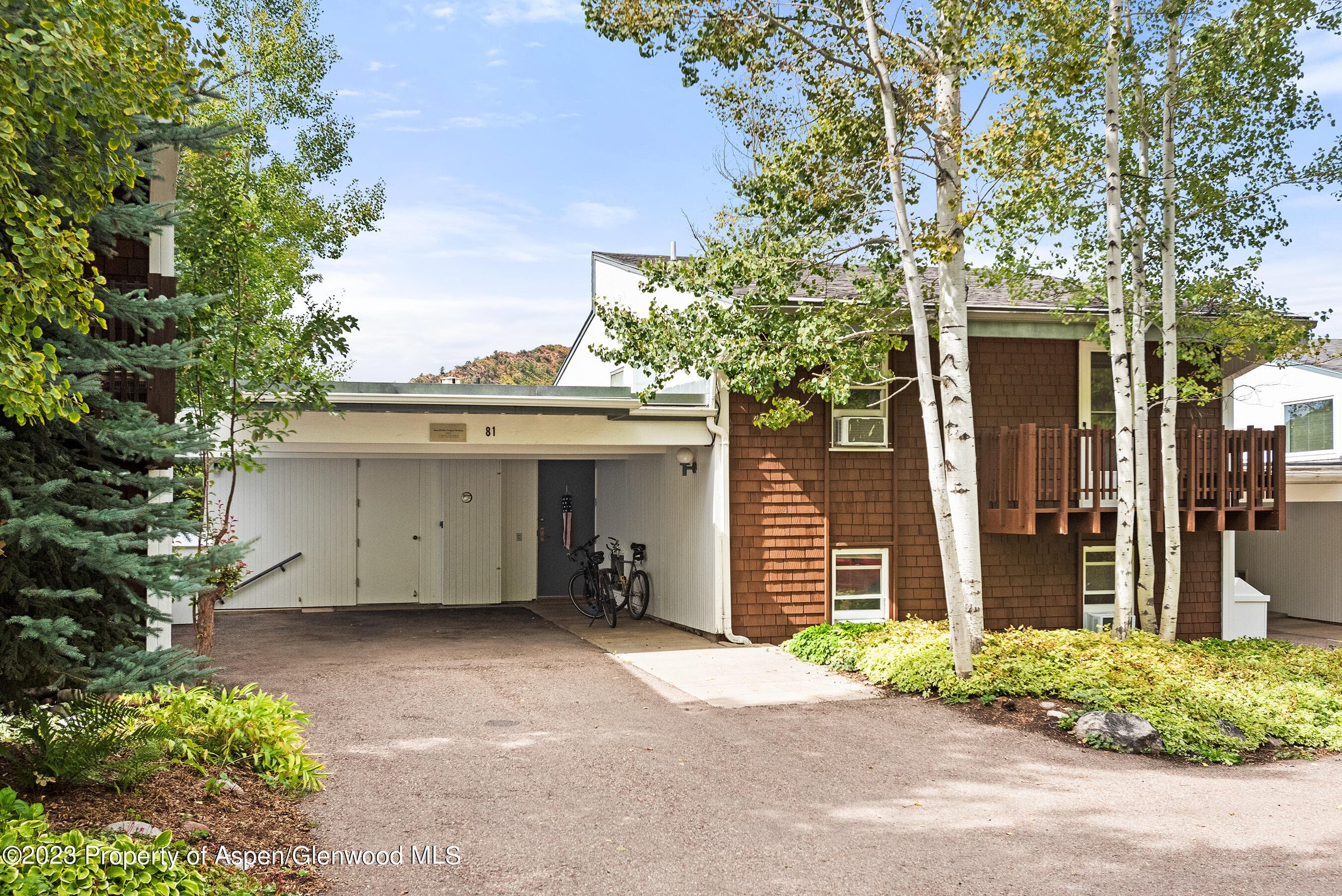 81 Meadows Trustee Road, Aspen, CO 81611 - Photo 20