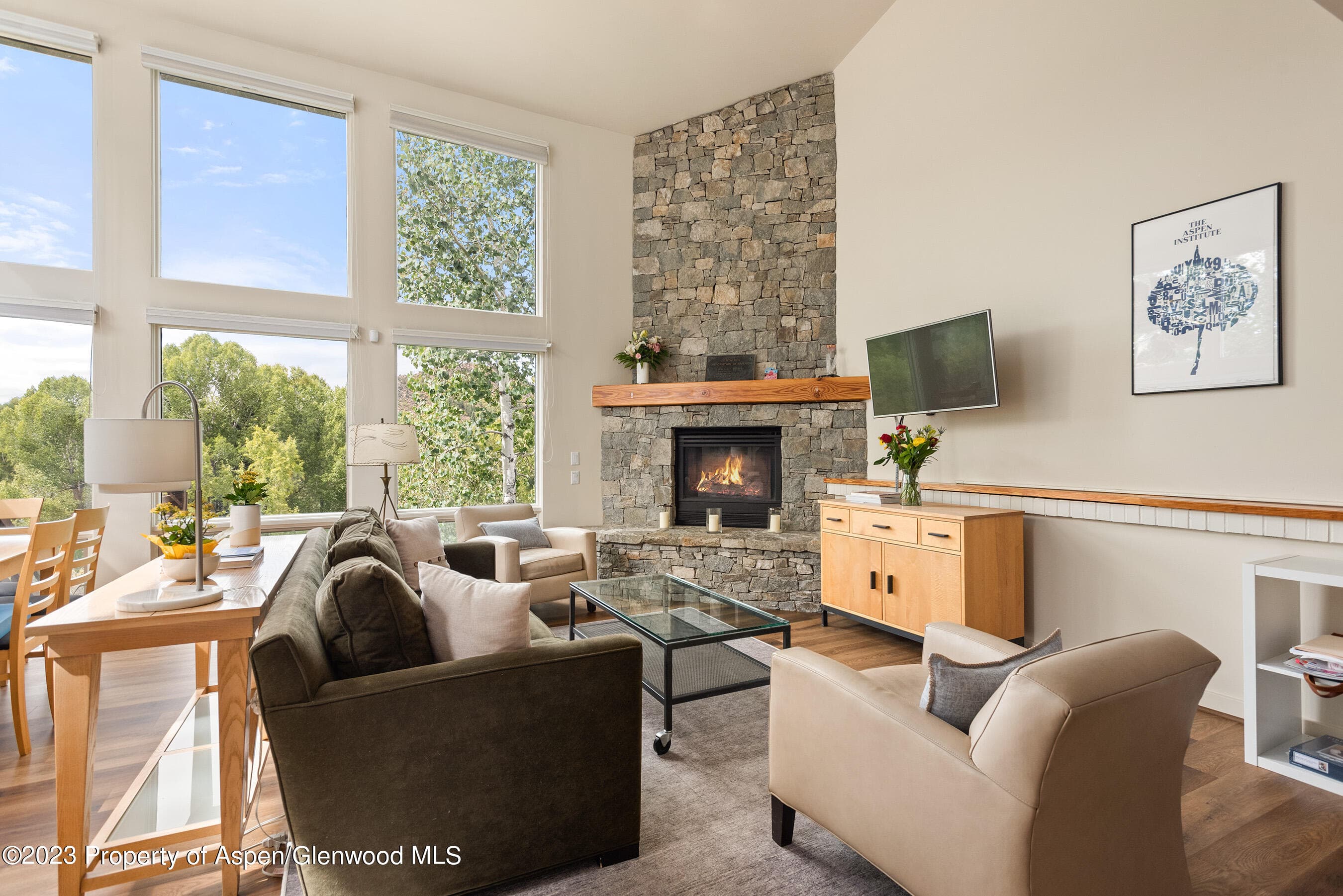 81 Meadows Trustee Road, Aspen, CO 81611 - Photo 5