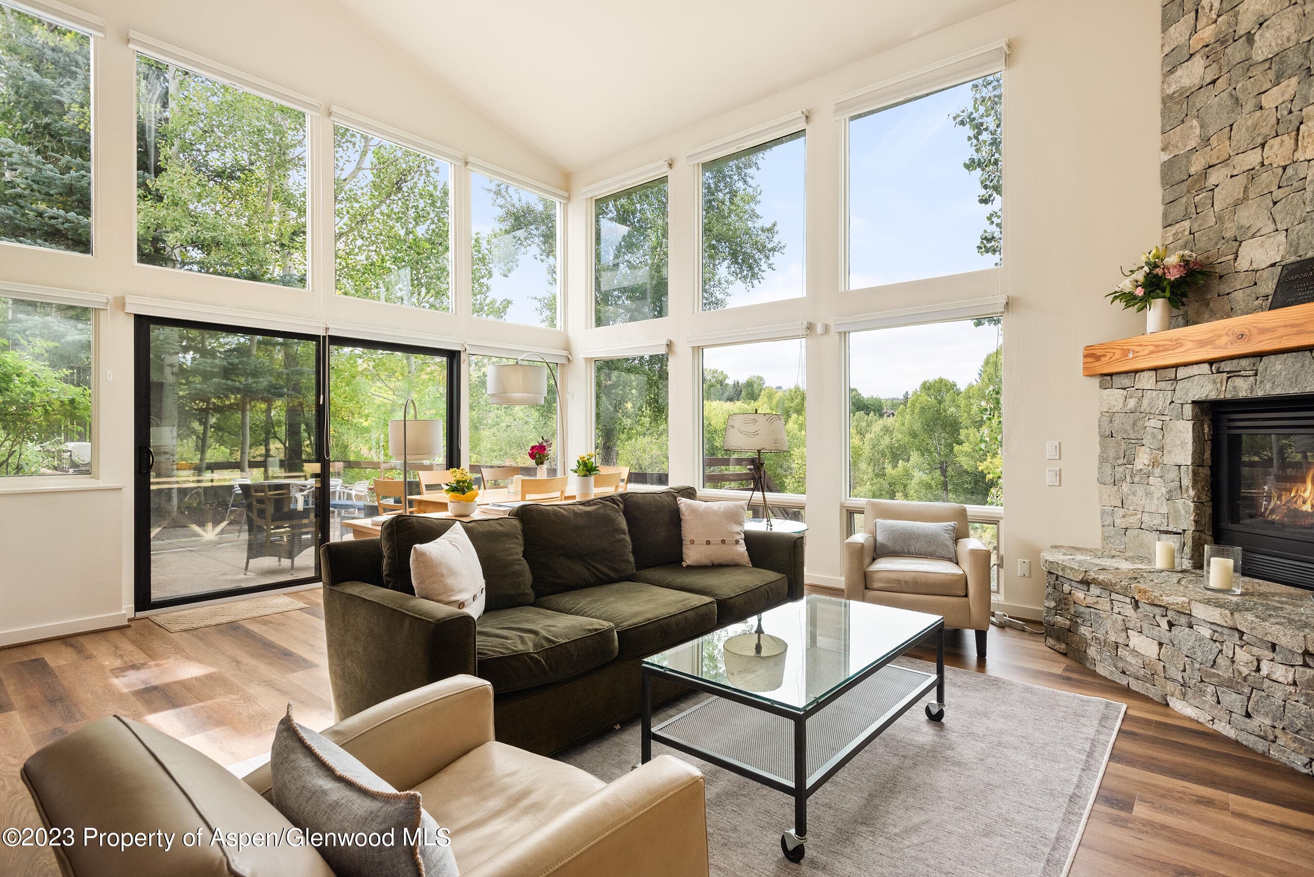 81 Meadows Trustee Road, Aspen, CO 81611 - Photo 4