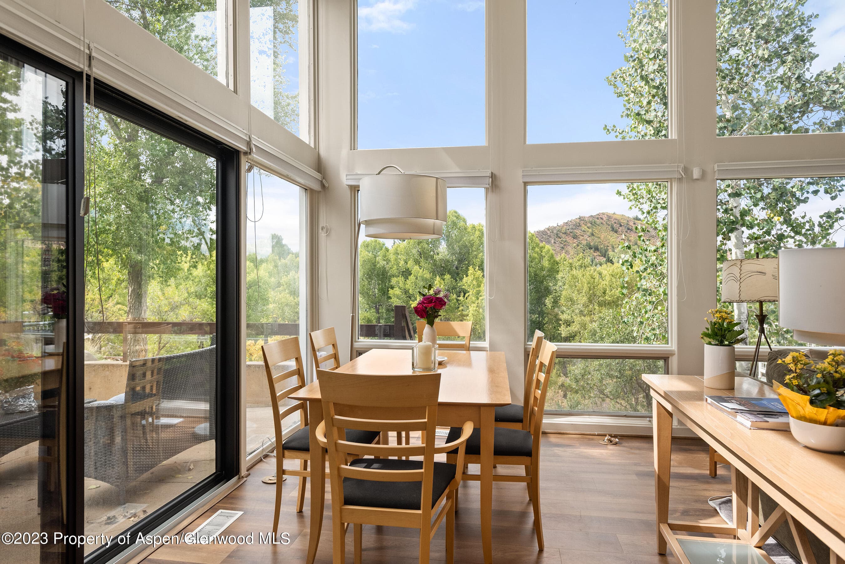 81 Meadows Trustee Road, Aspen, CO 81611 - Photo 6
