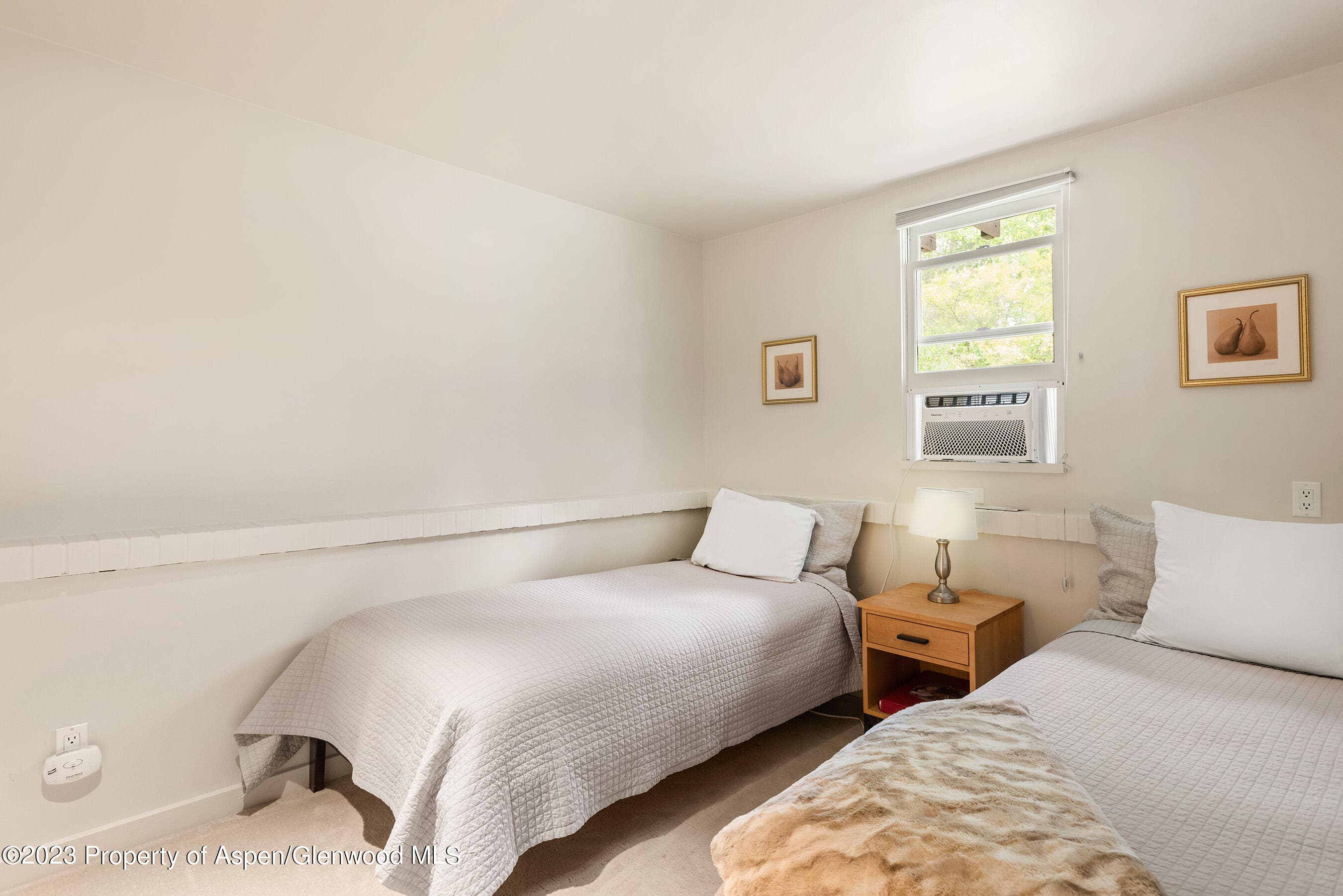 81 Meadows Trustee Road, Aspen, CO 81611 - Photo 22