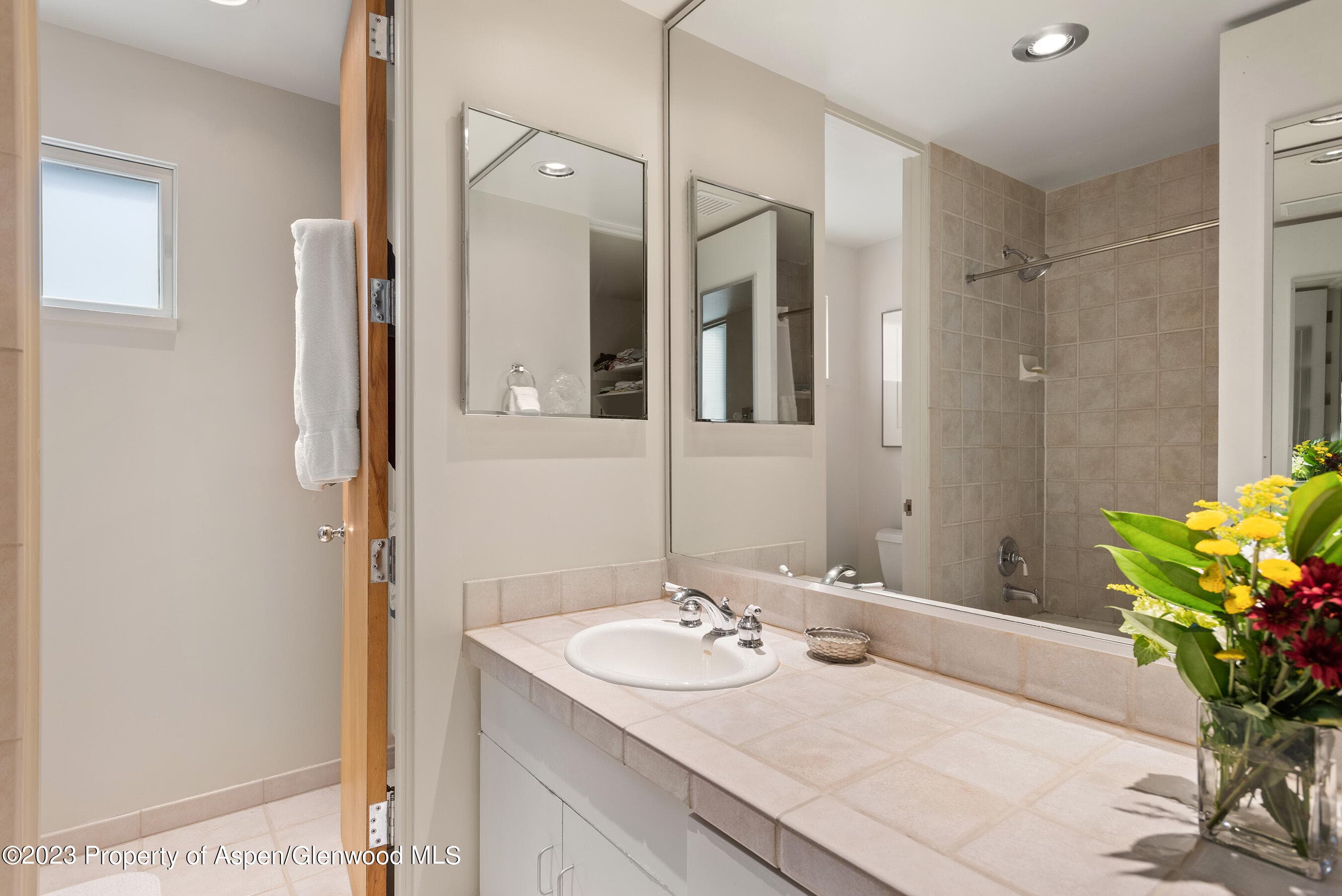 81 Meadows Trustee Road, Aspen, CO 81611 - Photo 26