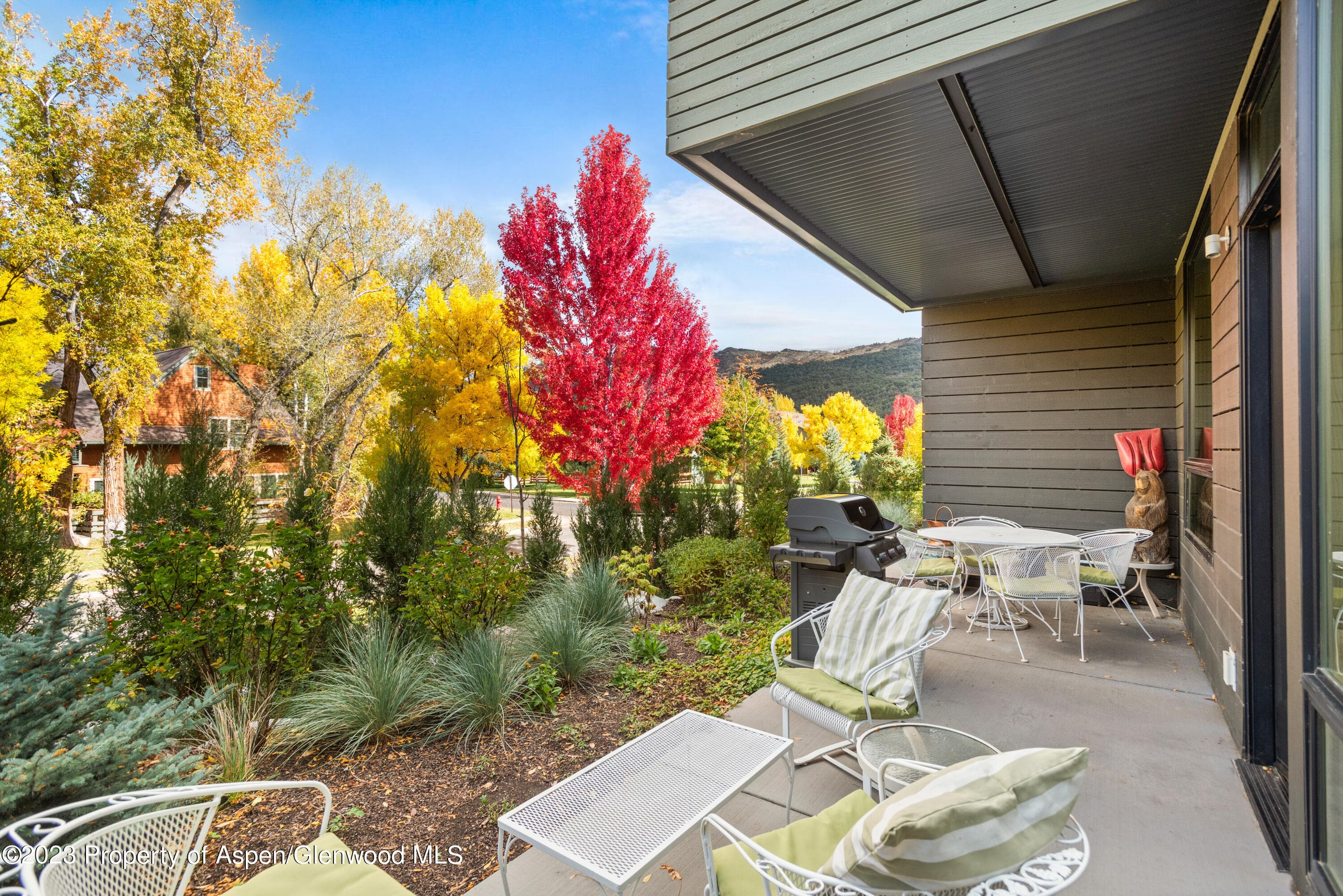 100 Evans Road 102, Basalt, CO 81621 - Photo 12