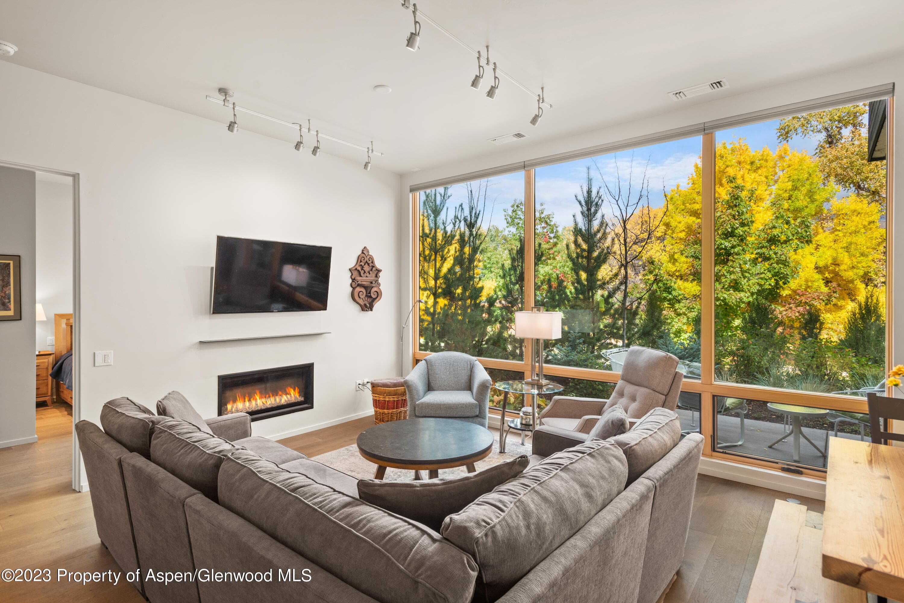 100 Evans Road 102, Basalt, CO 81621 - Photo 2